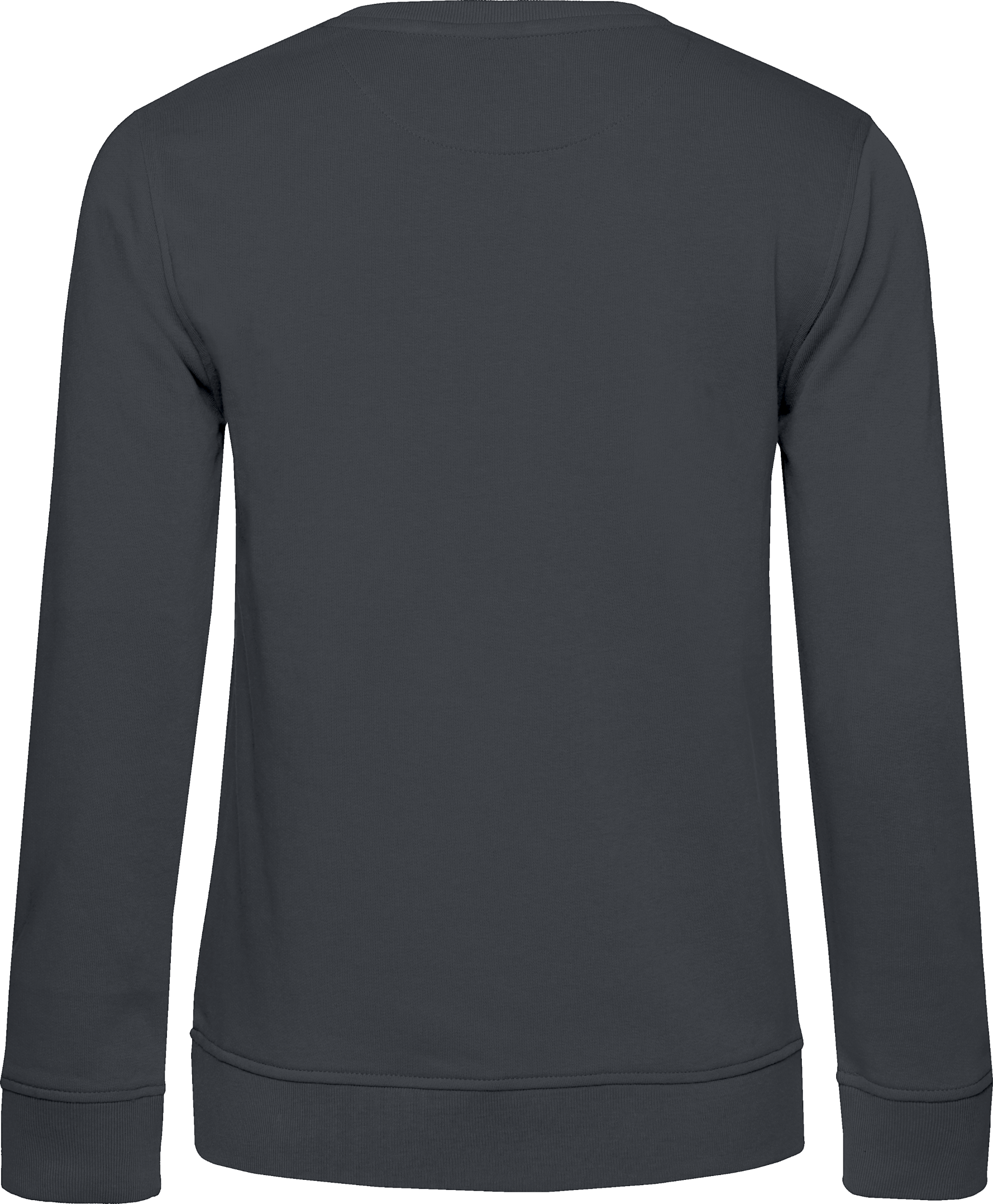 Inspire Crew Neck Sweat /Women_°