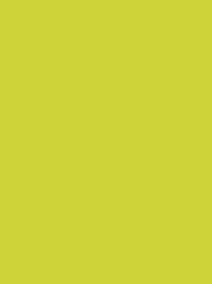Polyneon 40 Green (5.000 m)
