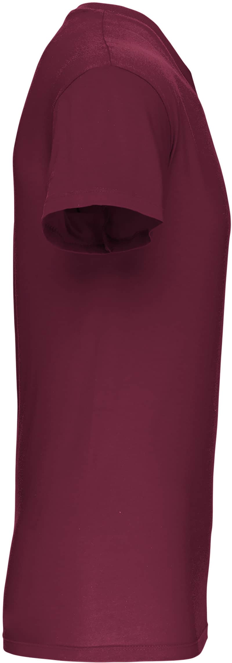 Herren-T-Shirt Bio150IC mit V-Ausschnitt