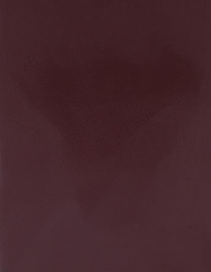 CAD-CUT® SportsFilm