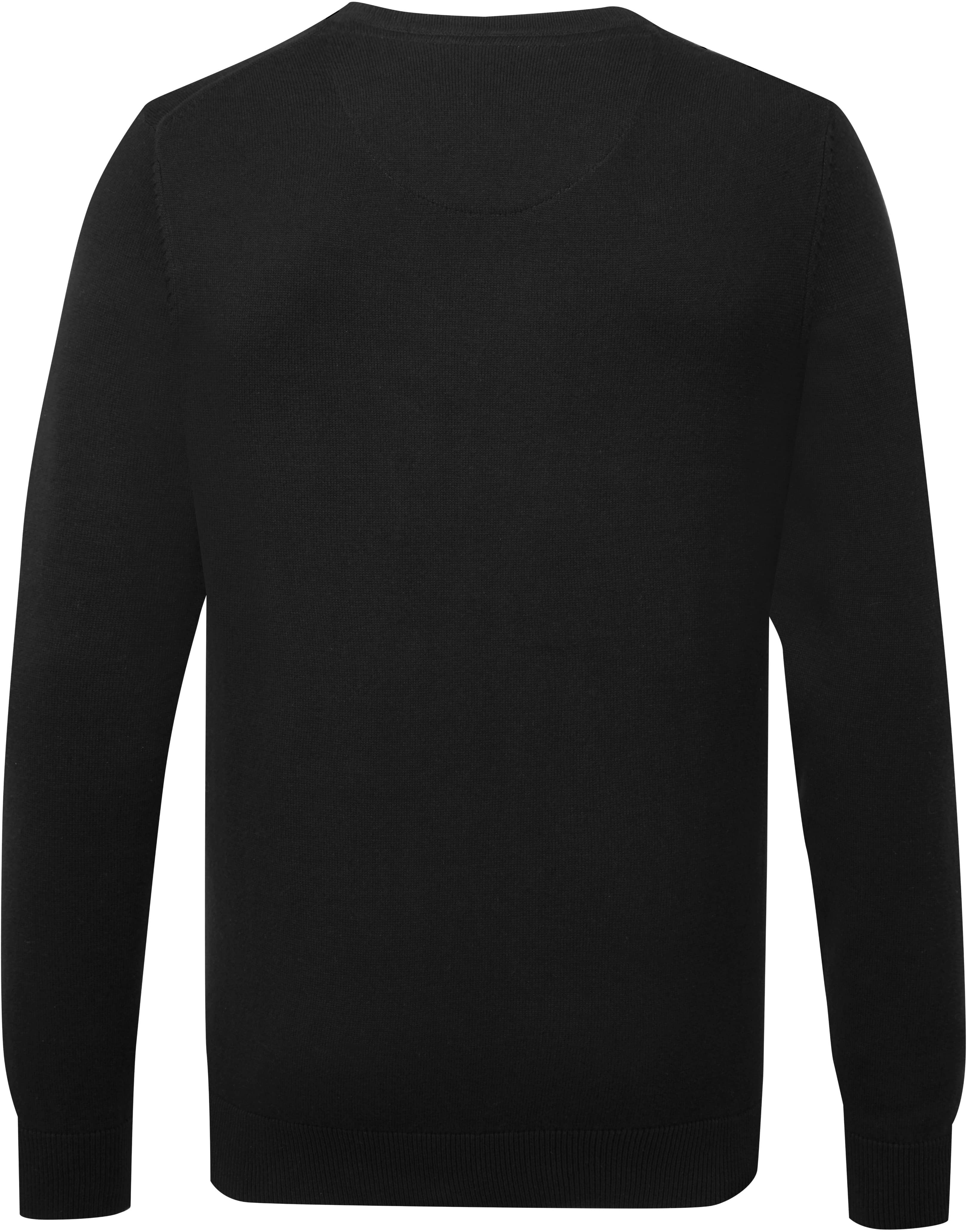 Men´s Cotton Blend V Neck Sweater