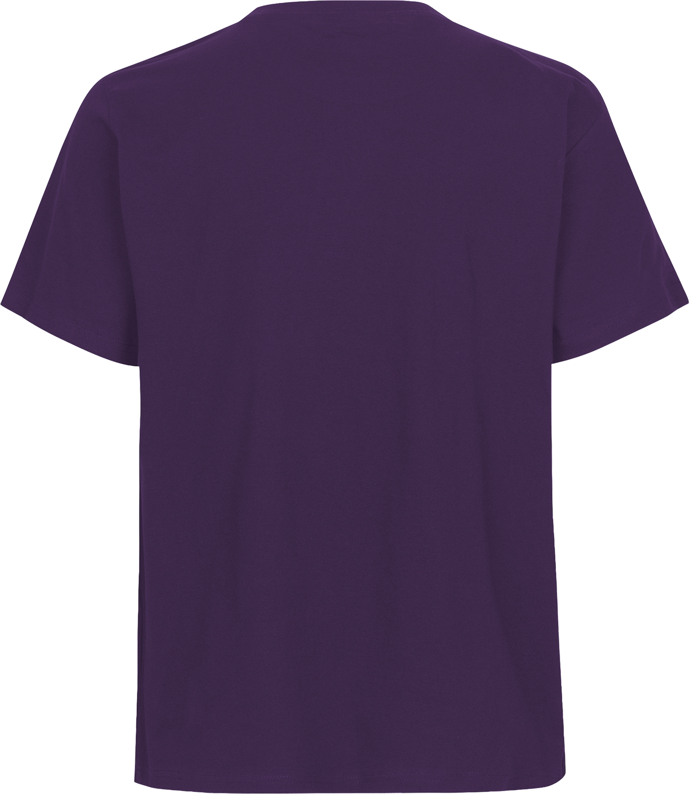 Unisex Regular T-Shirt
