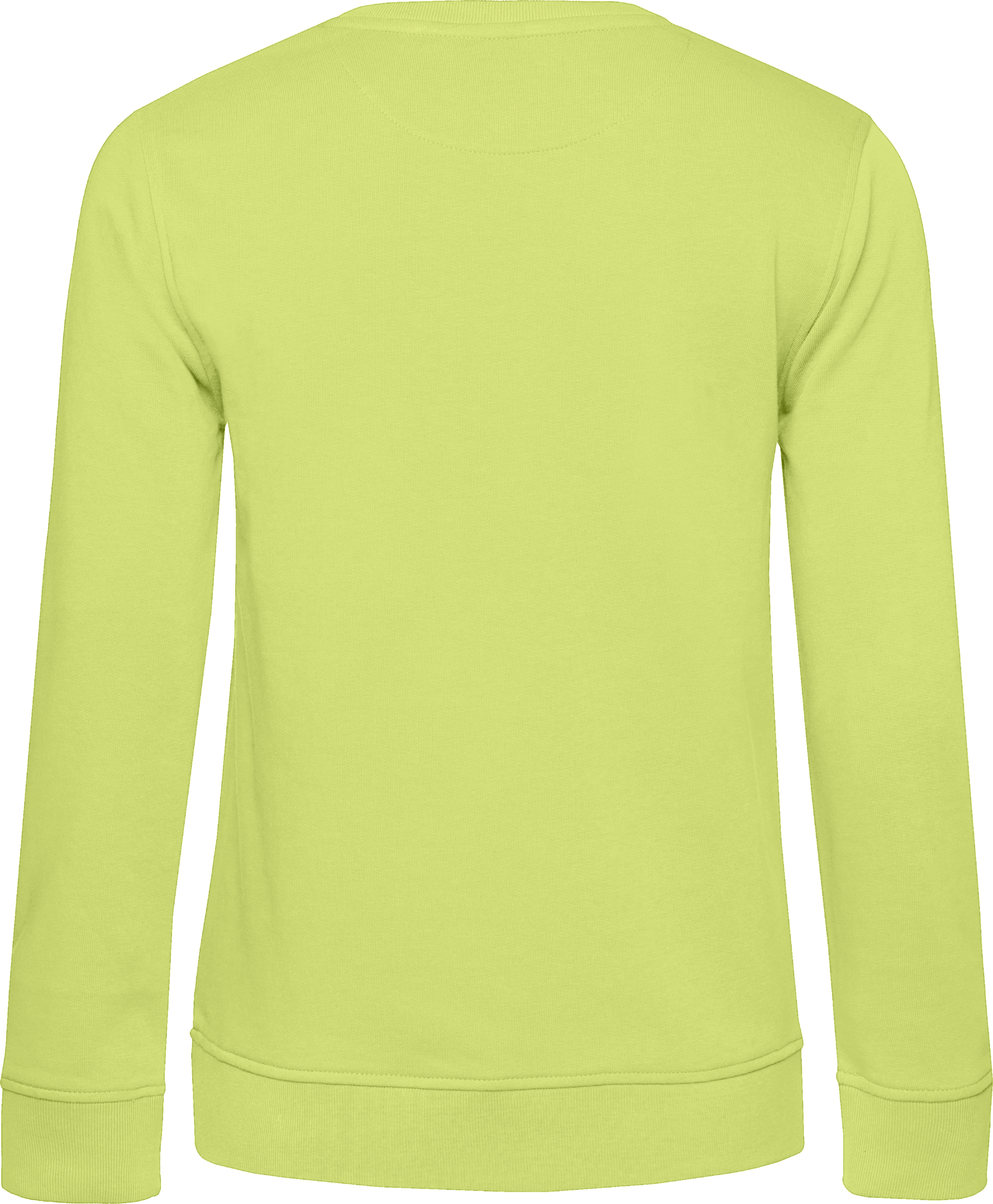 Inspire Crew Neck Sweat /Women_°