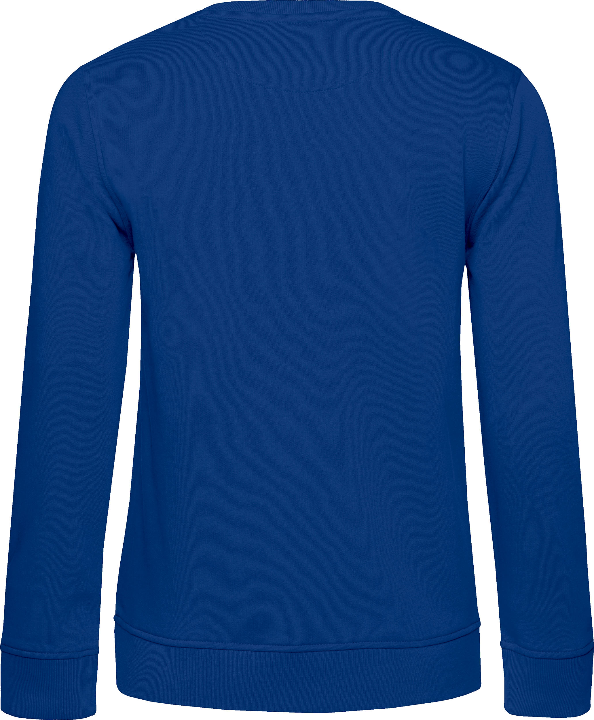 Inspire Crew Neck Sweat /Women_°