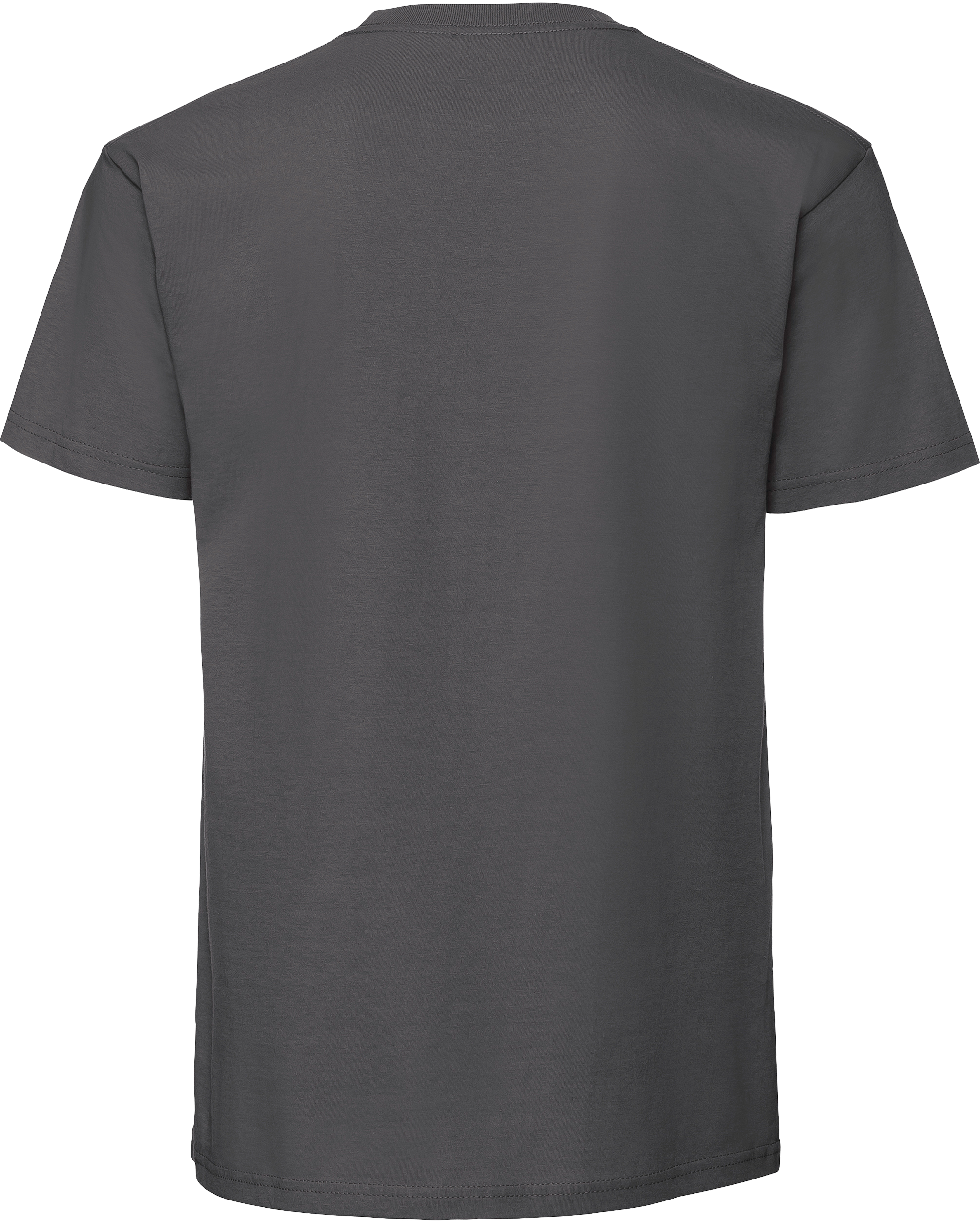 Iconic 195 Ringspun T
