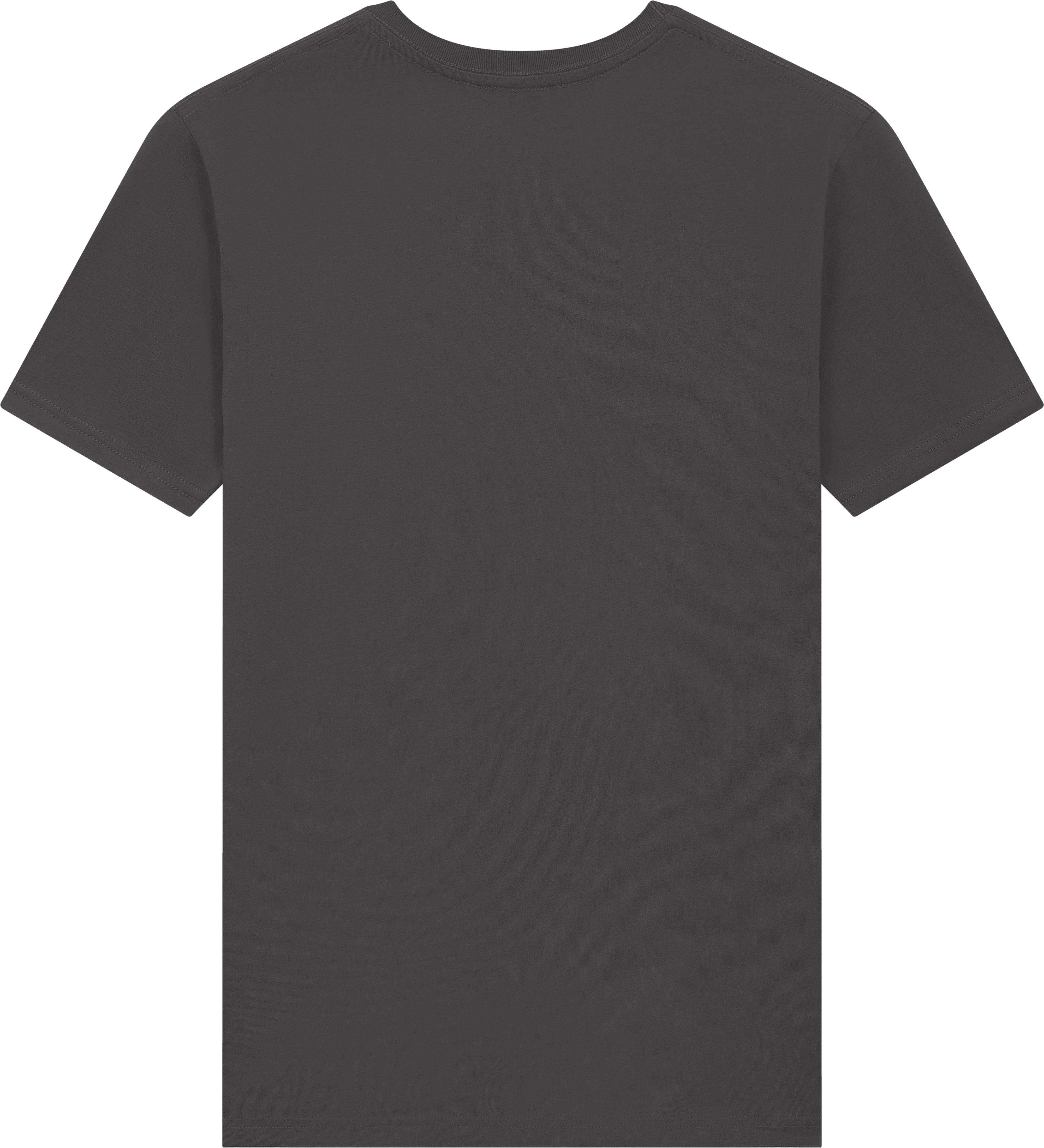 Premium Jersey T-Shirt