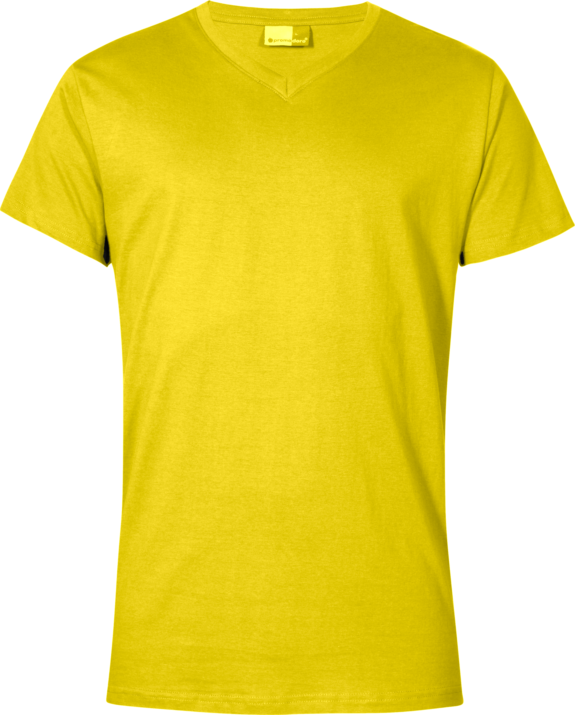 Premium V-Neck-T