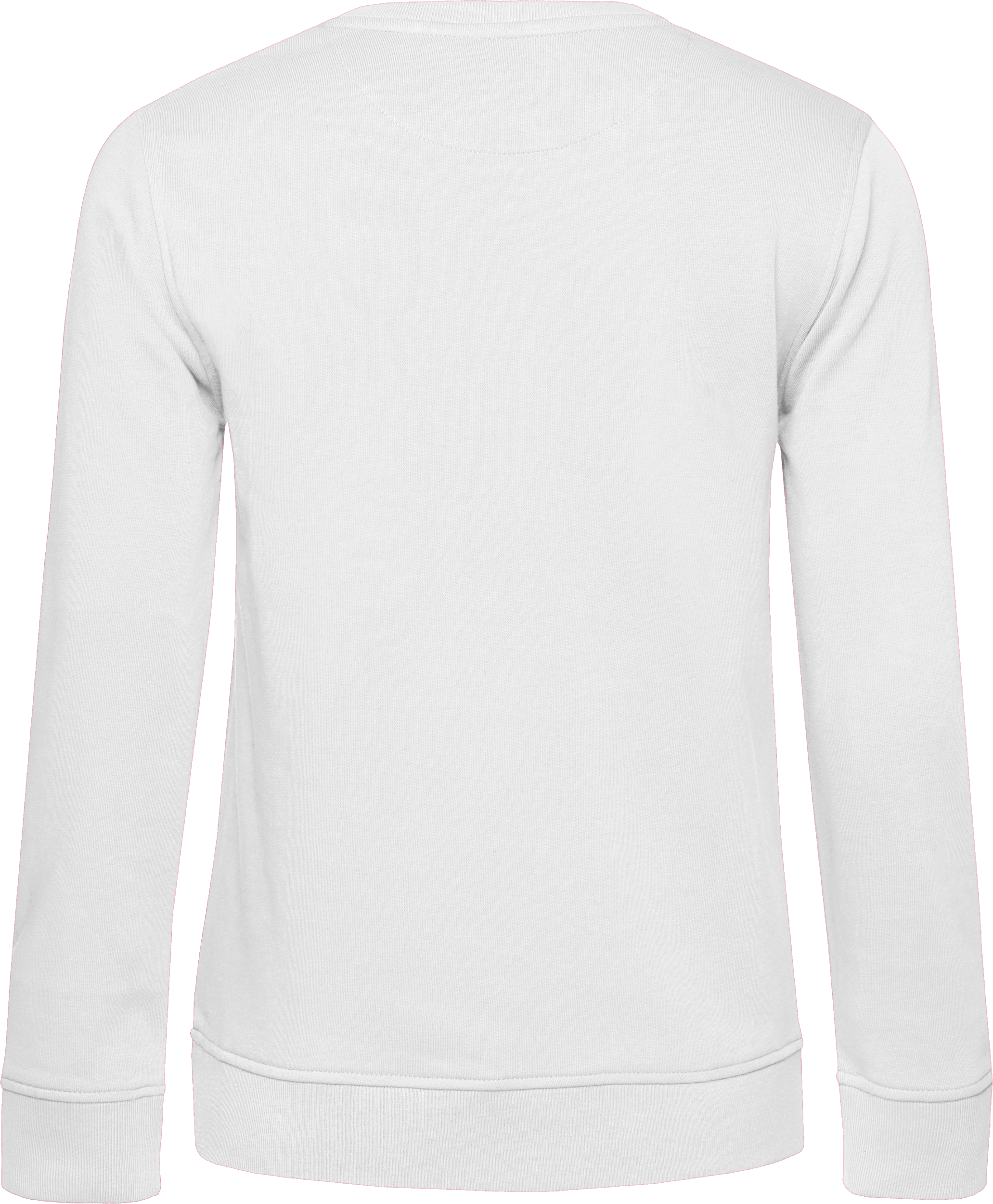 Inspire Crew Neck Sweat /Women_°