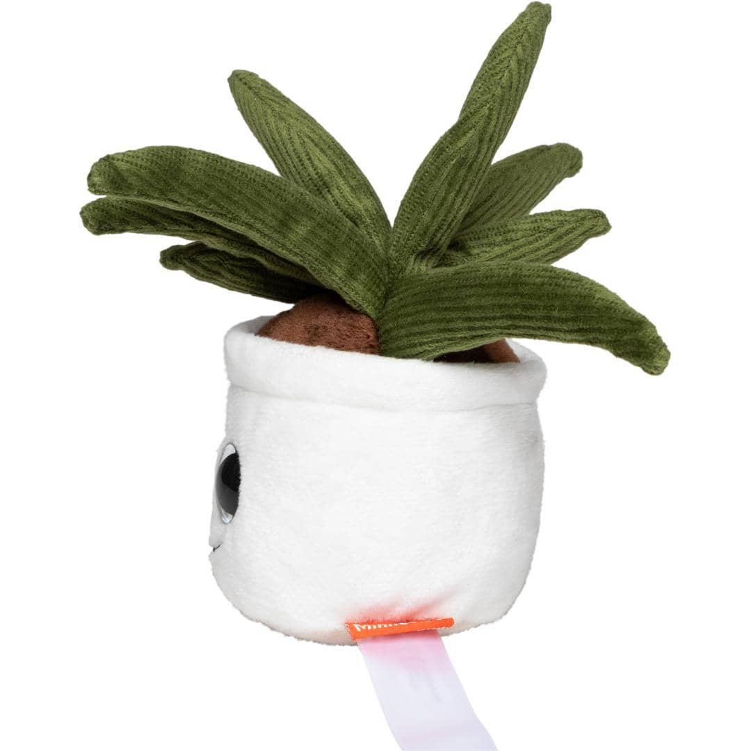 Schmoozies® Evergreenies® Aloe Vera