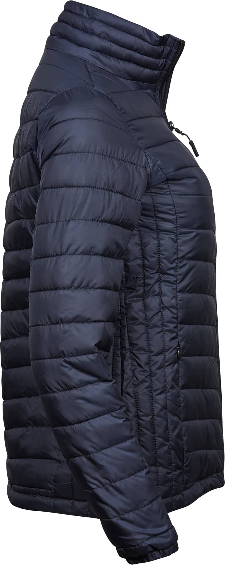 Women´s Zepelin Jacket