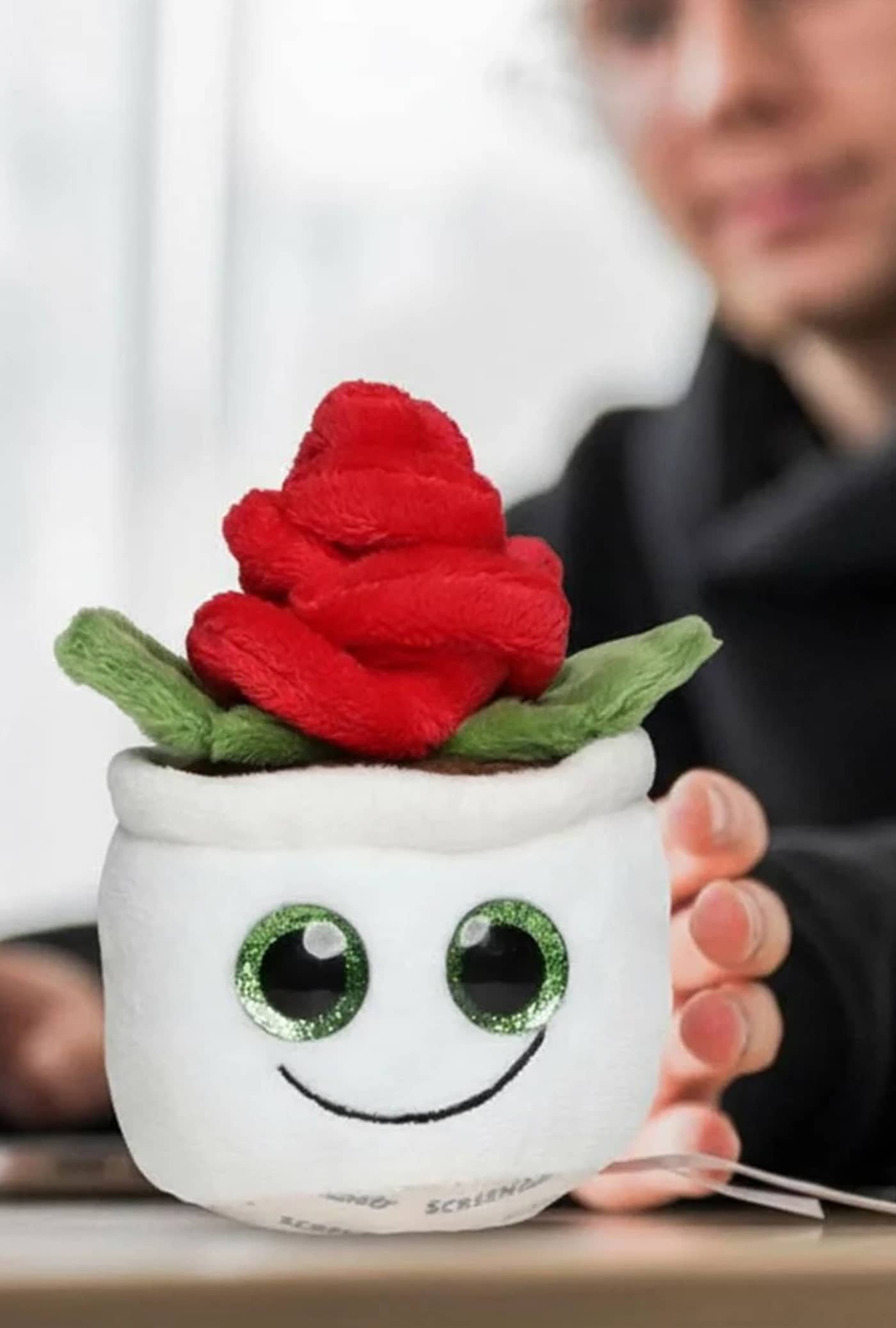 Schmoozies® Evergreenies® Rose