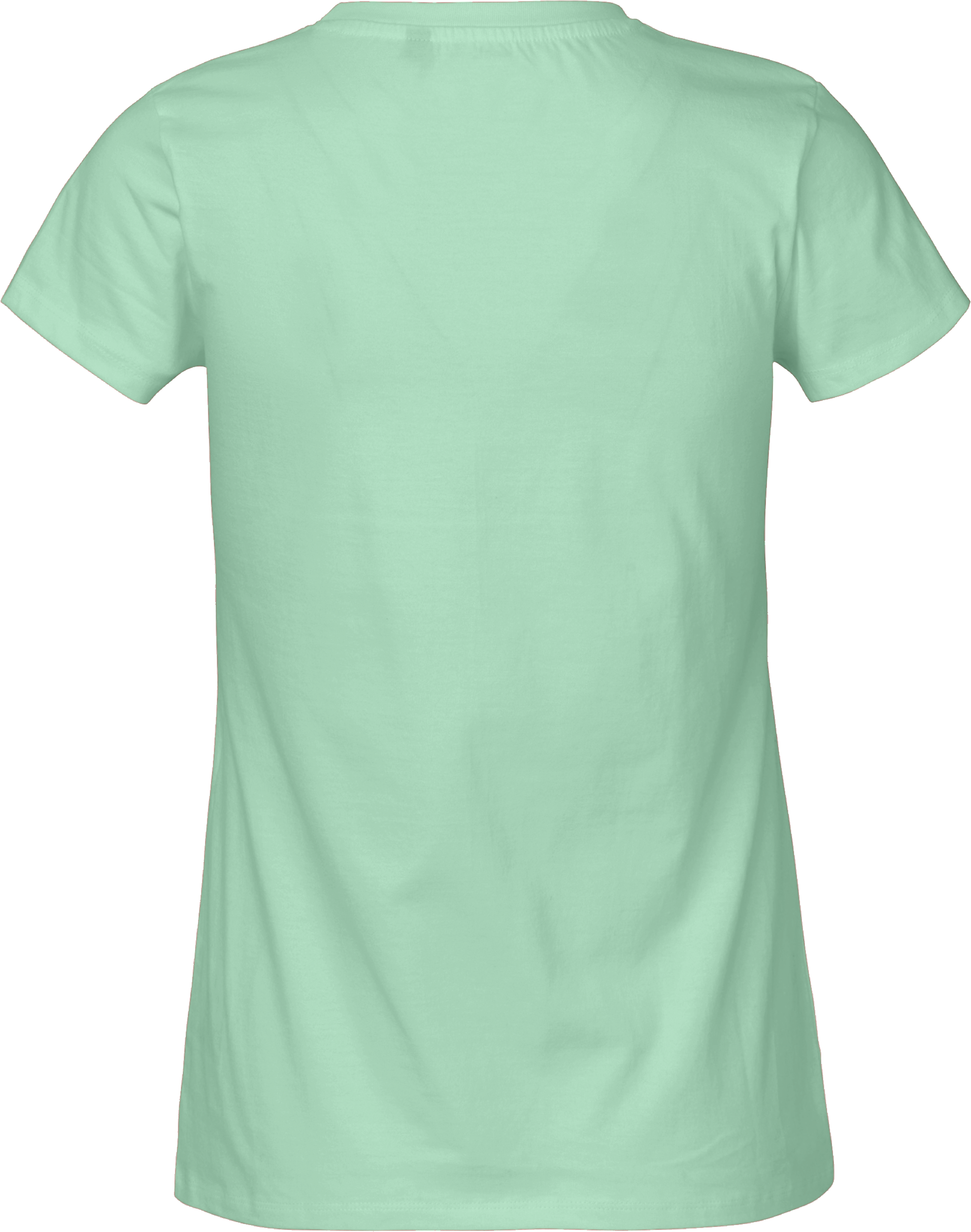 Ladies´ Classic T-Shirt