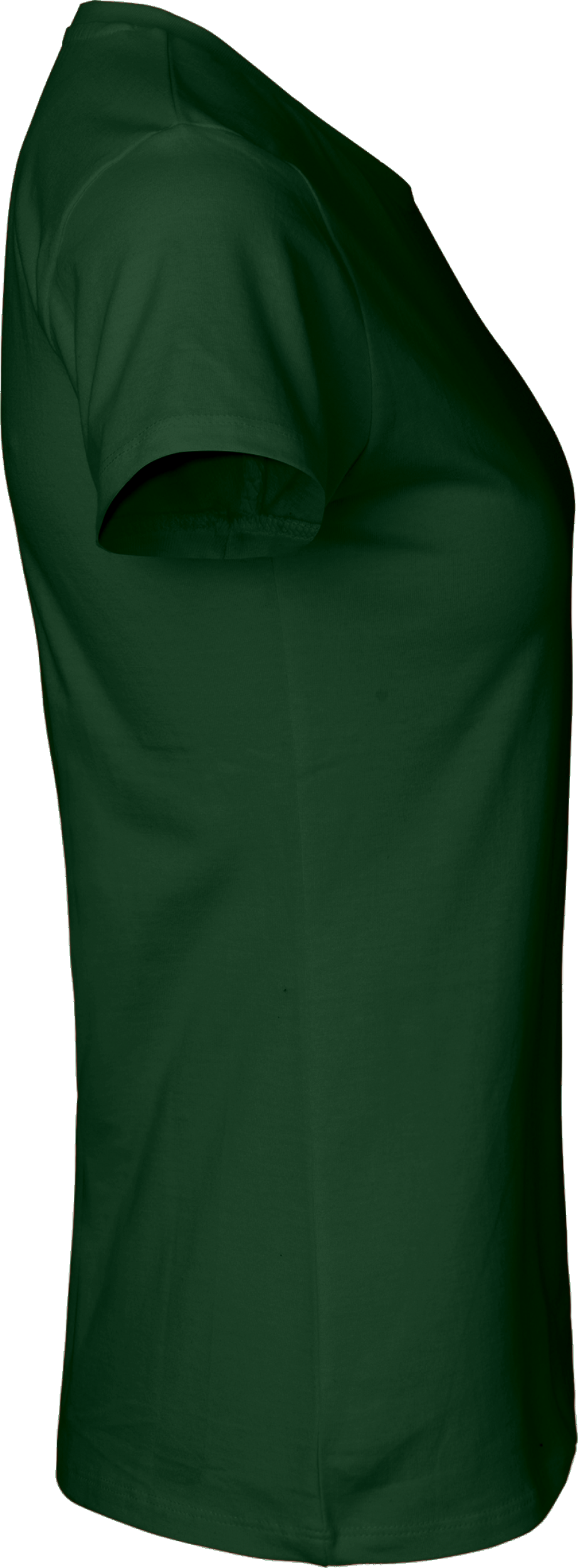 Ladies´ Classic T-Shirt