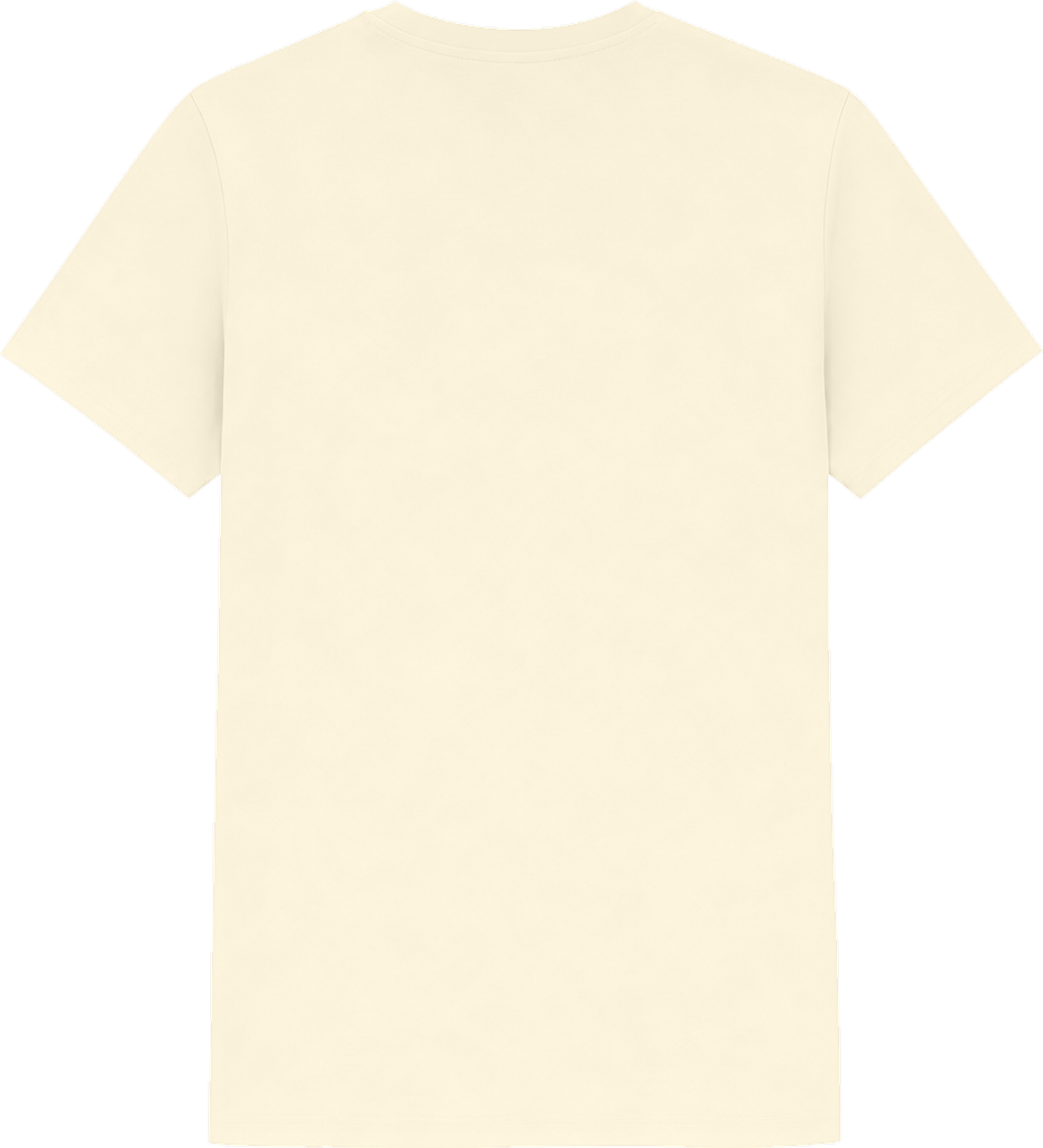 Heavy Cotton™ Women´s T-Shirt