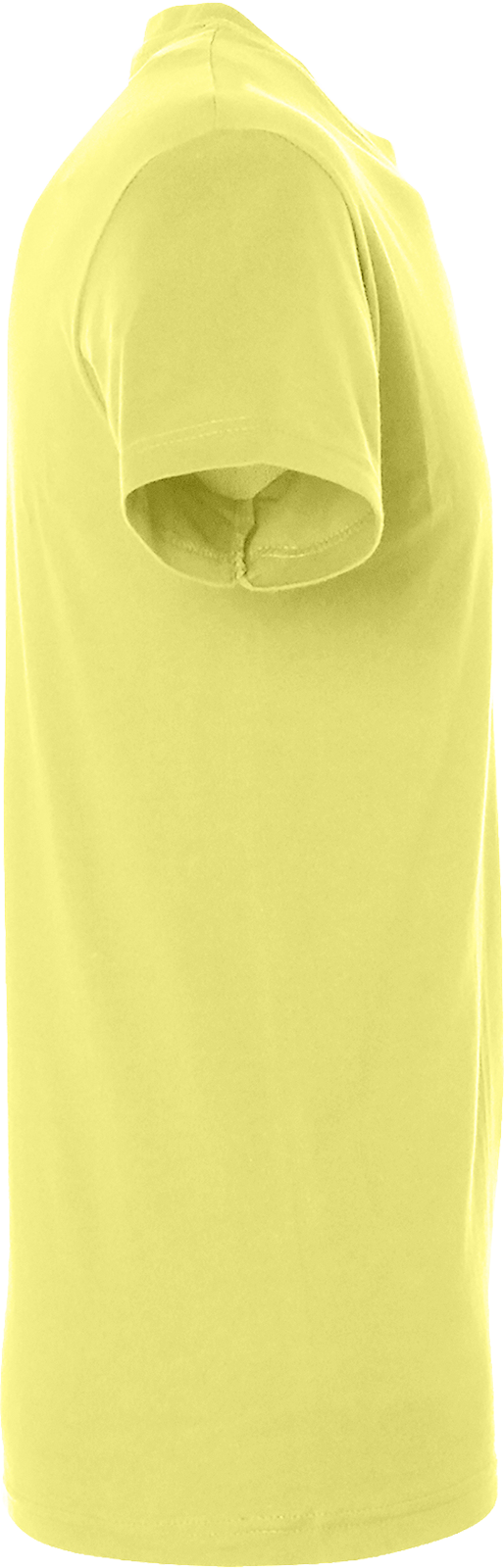 Regent T-Shirt 150