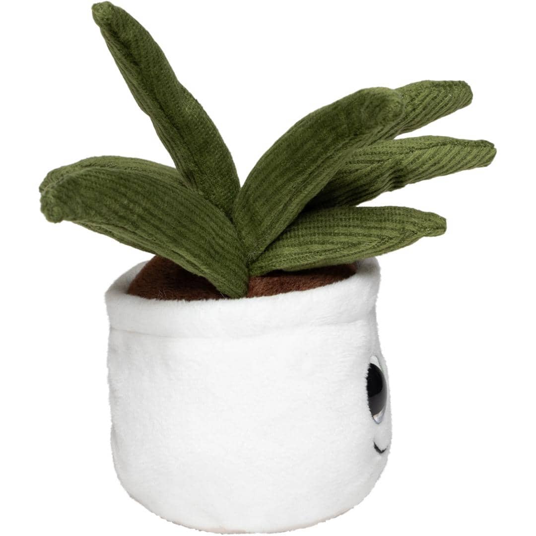 Schmoozies® Evergreenies® Aloe Vera