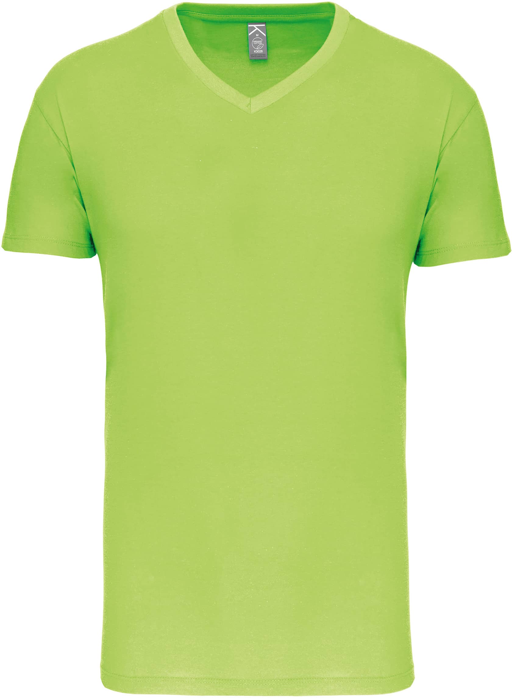 Herren-T-Shirt Bio150IC mit V-Ausschnitt
