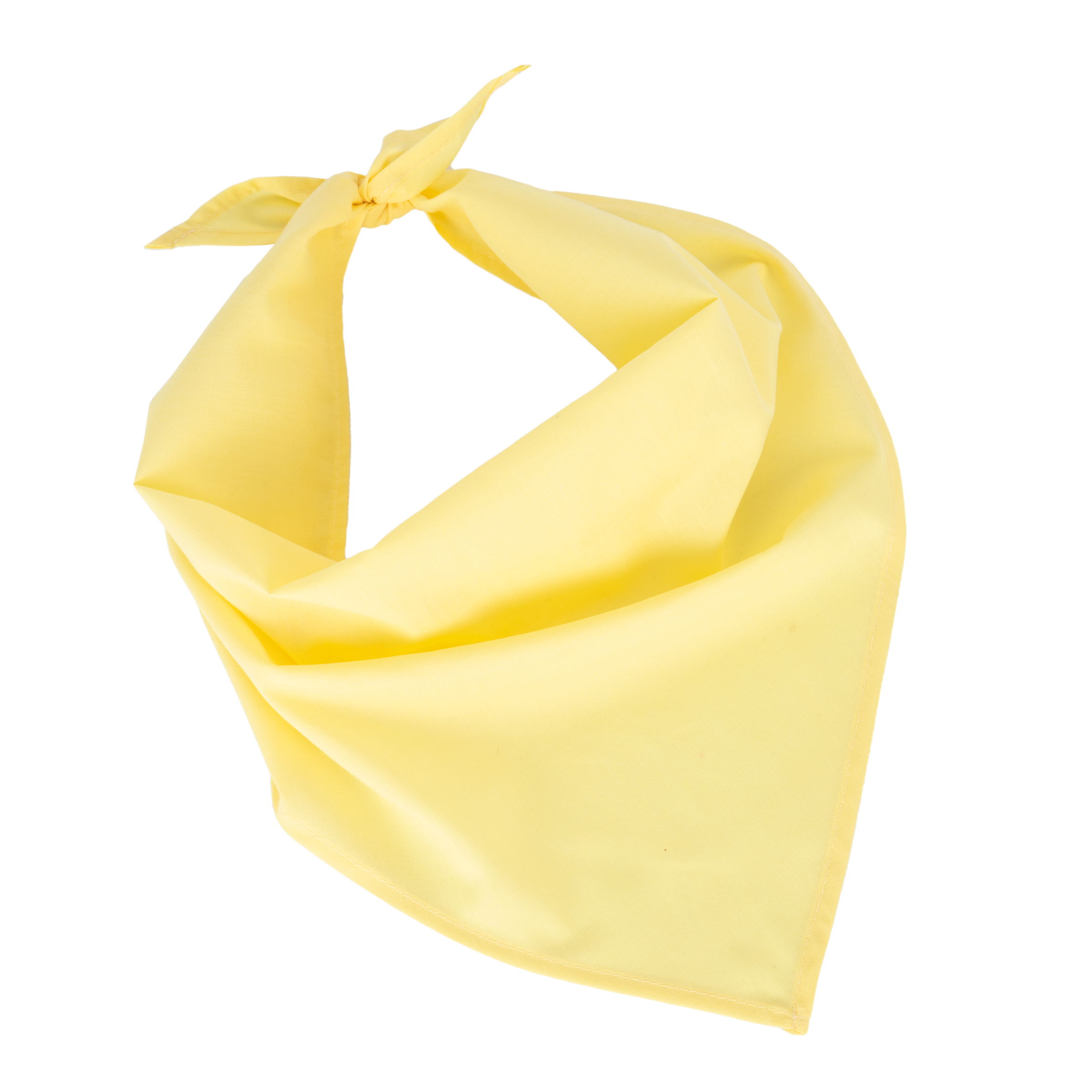 Fiesta - Bandana