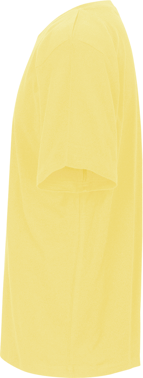 Unisex Regular T-Shirt