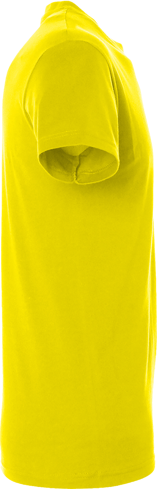 Regent T-Shirt 150