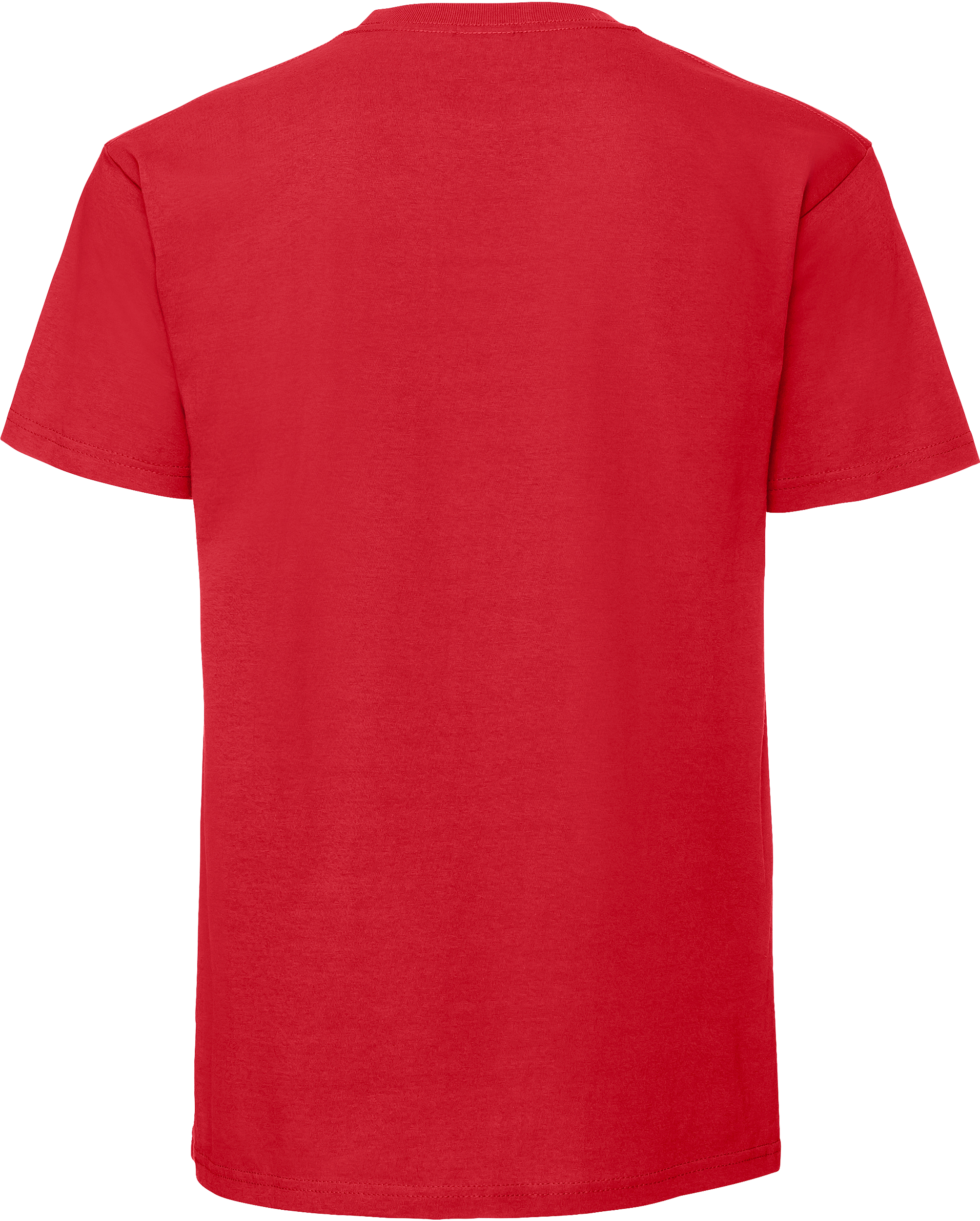 Iconic 195 Ringspun T