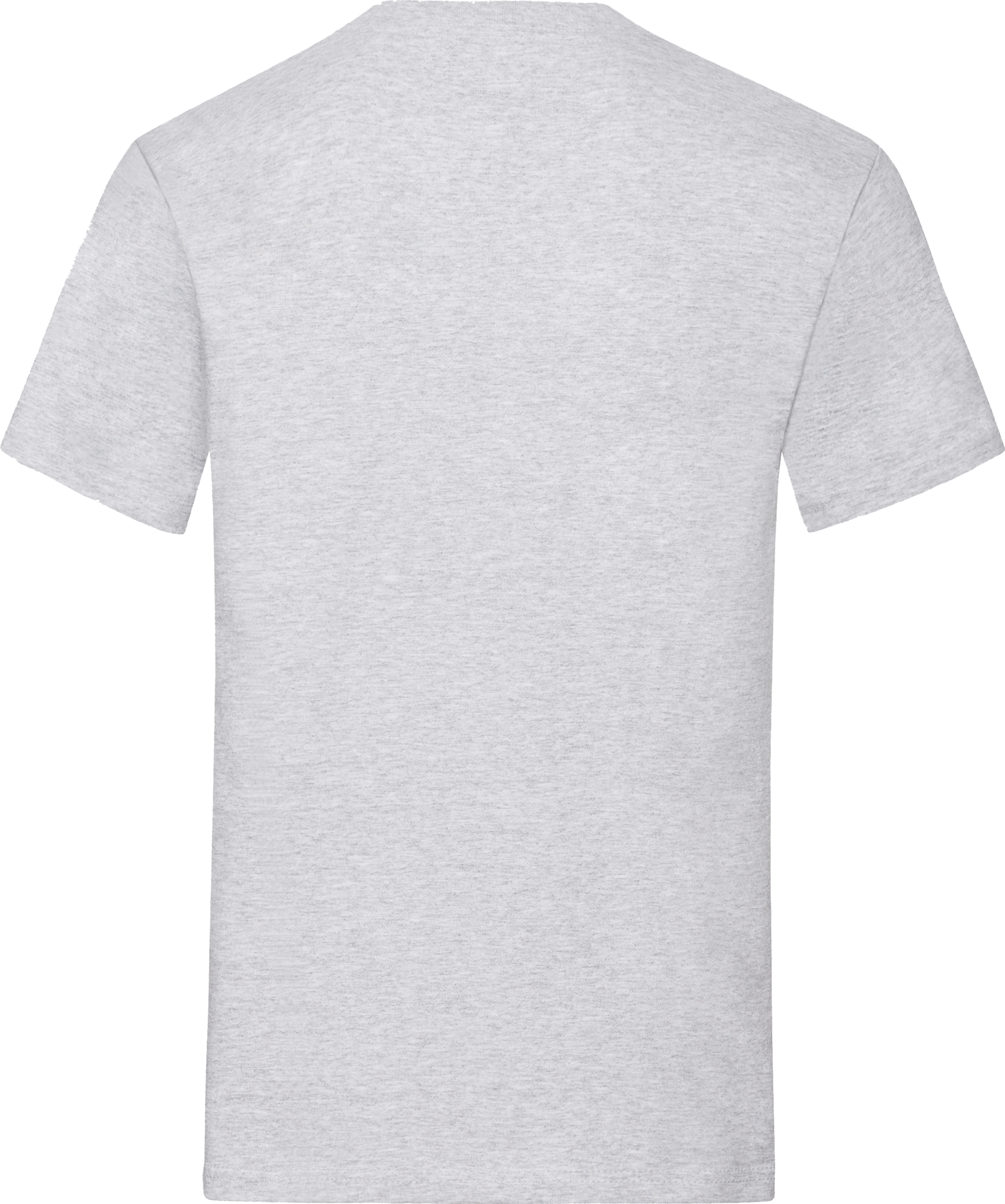 Heavy Cotton T
