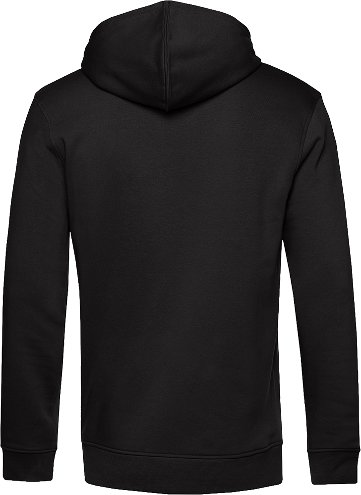 Inspire Hooded Sweat_°
