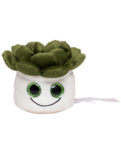 Schmoozies® Evergreenies® Sukkulente