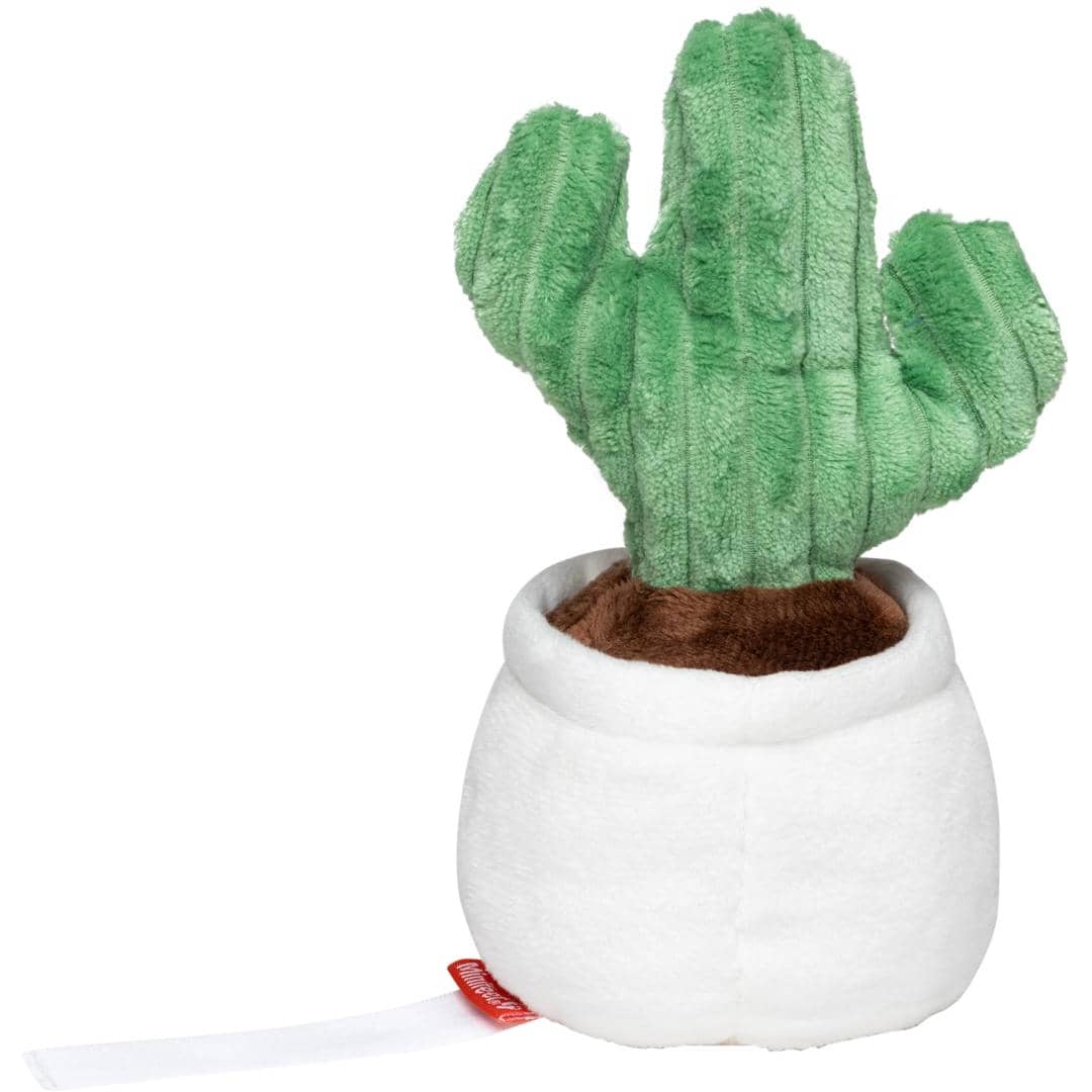Schmoozies® Evergreenies® Kaktus