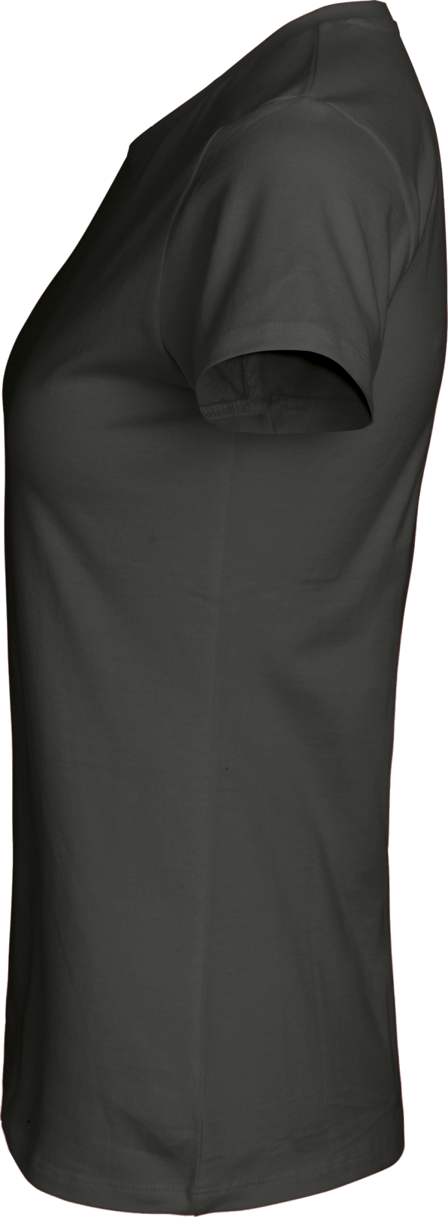 Ladies´ Classic T-Shirt