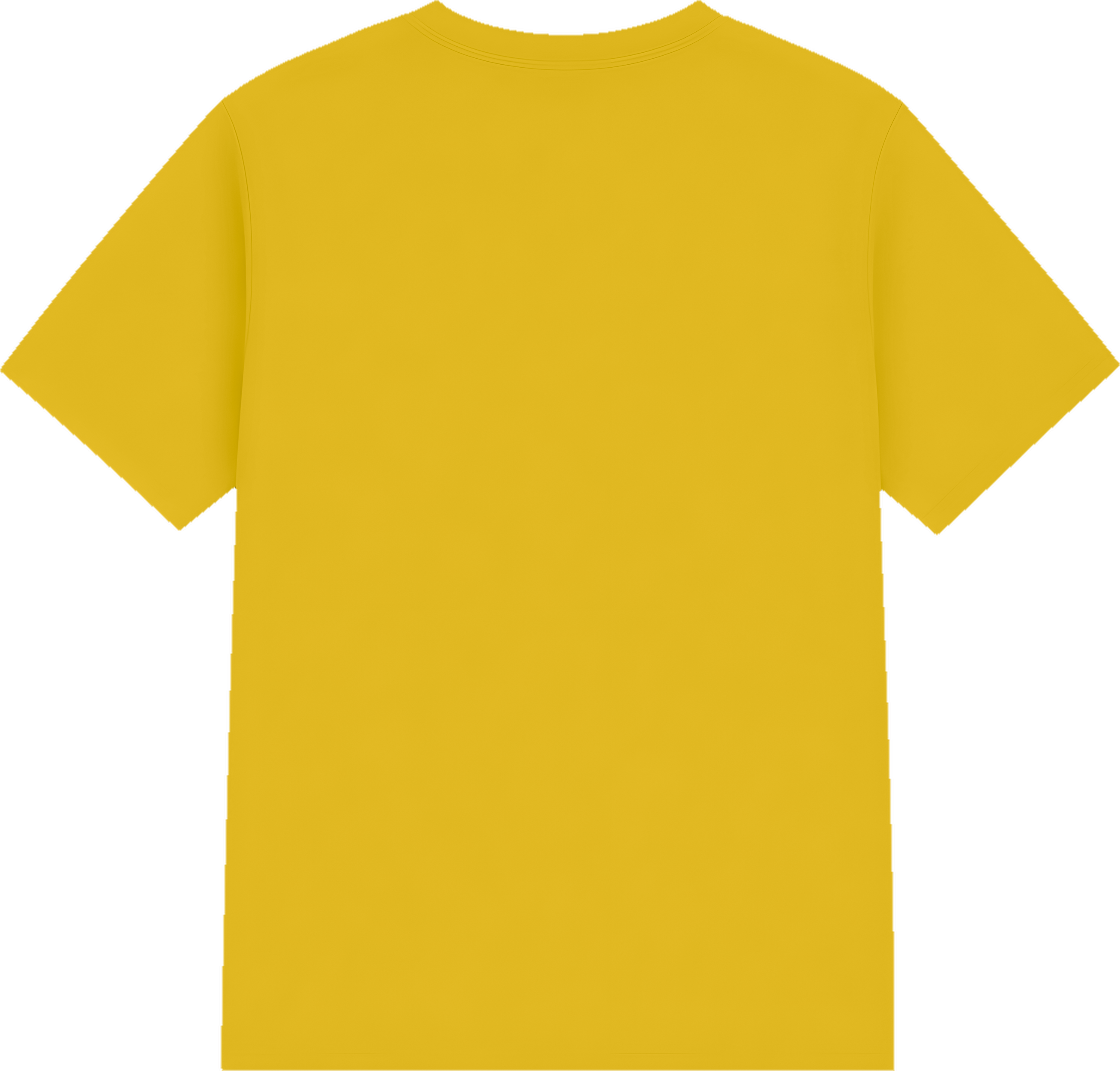 Softstyle® Youth T-Shirt