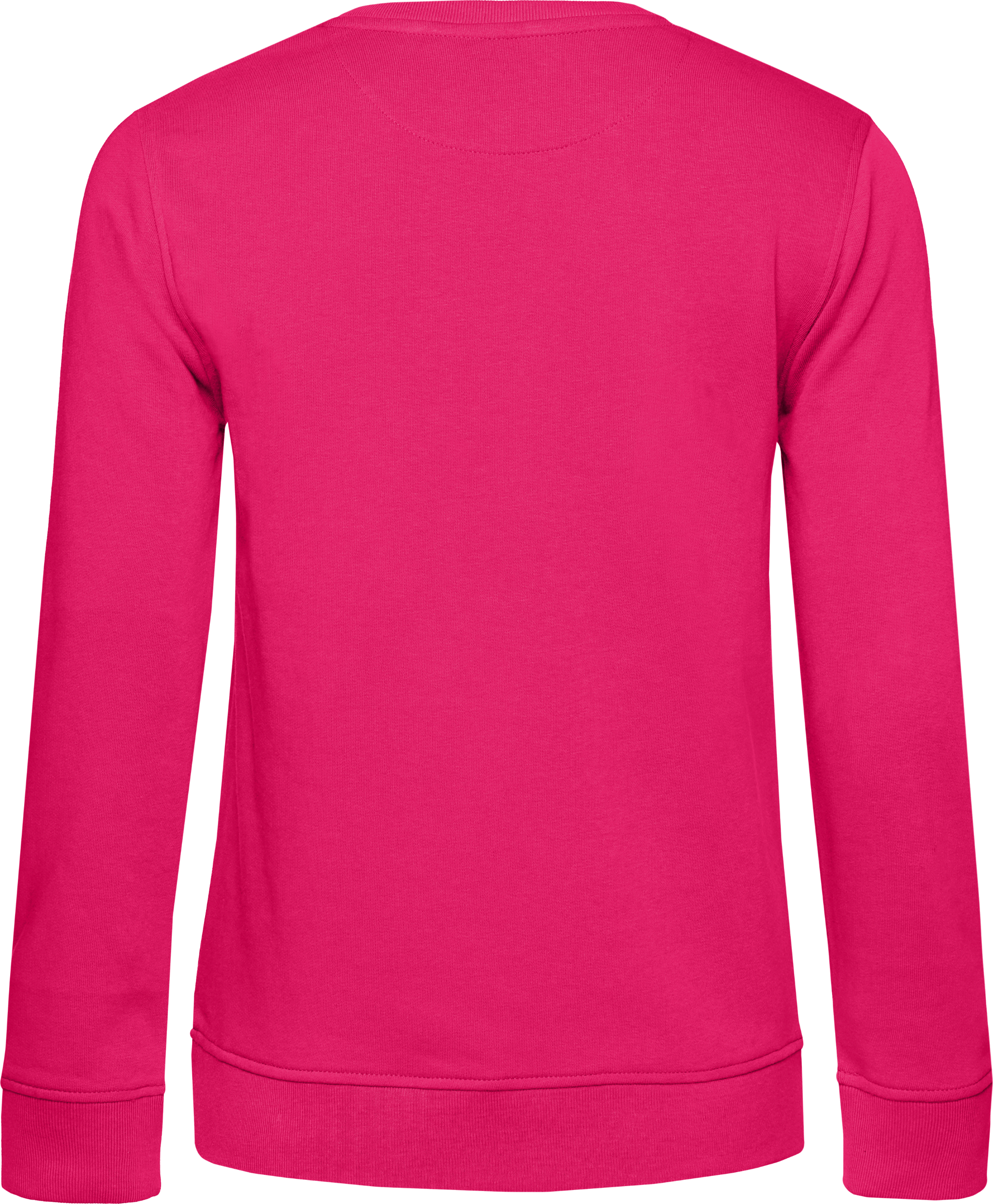 Inspire Crew Neck Sweat /Women_°