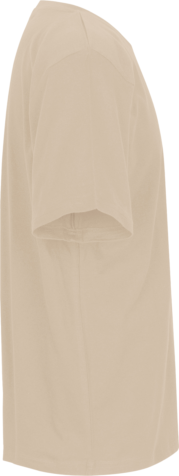 Unisex Regular T-Shirt