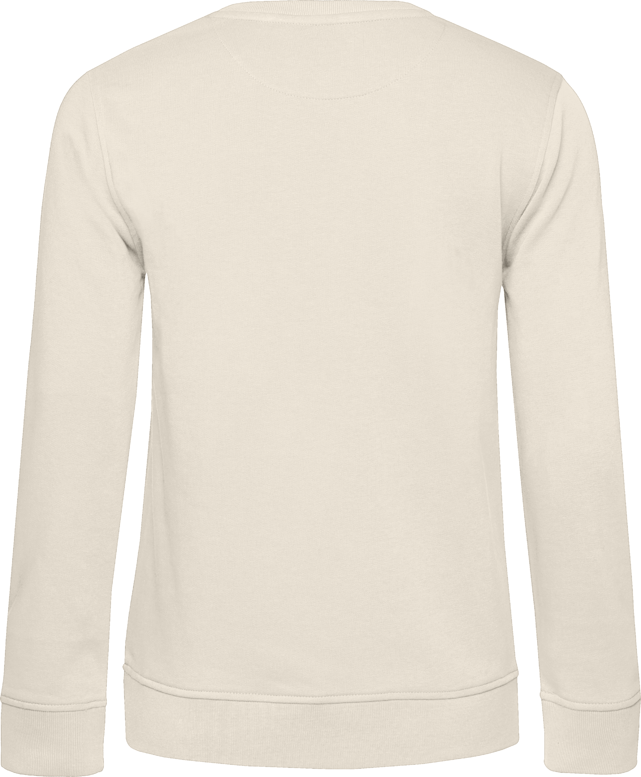 Inspire Crew Neck Sweat /Women_°