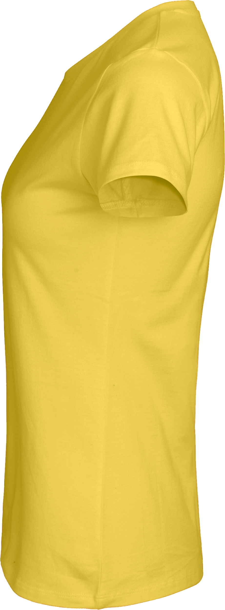Ladies´ Classic T-Shirt