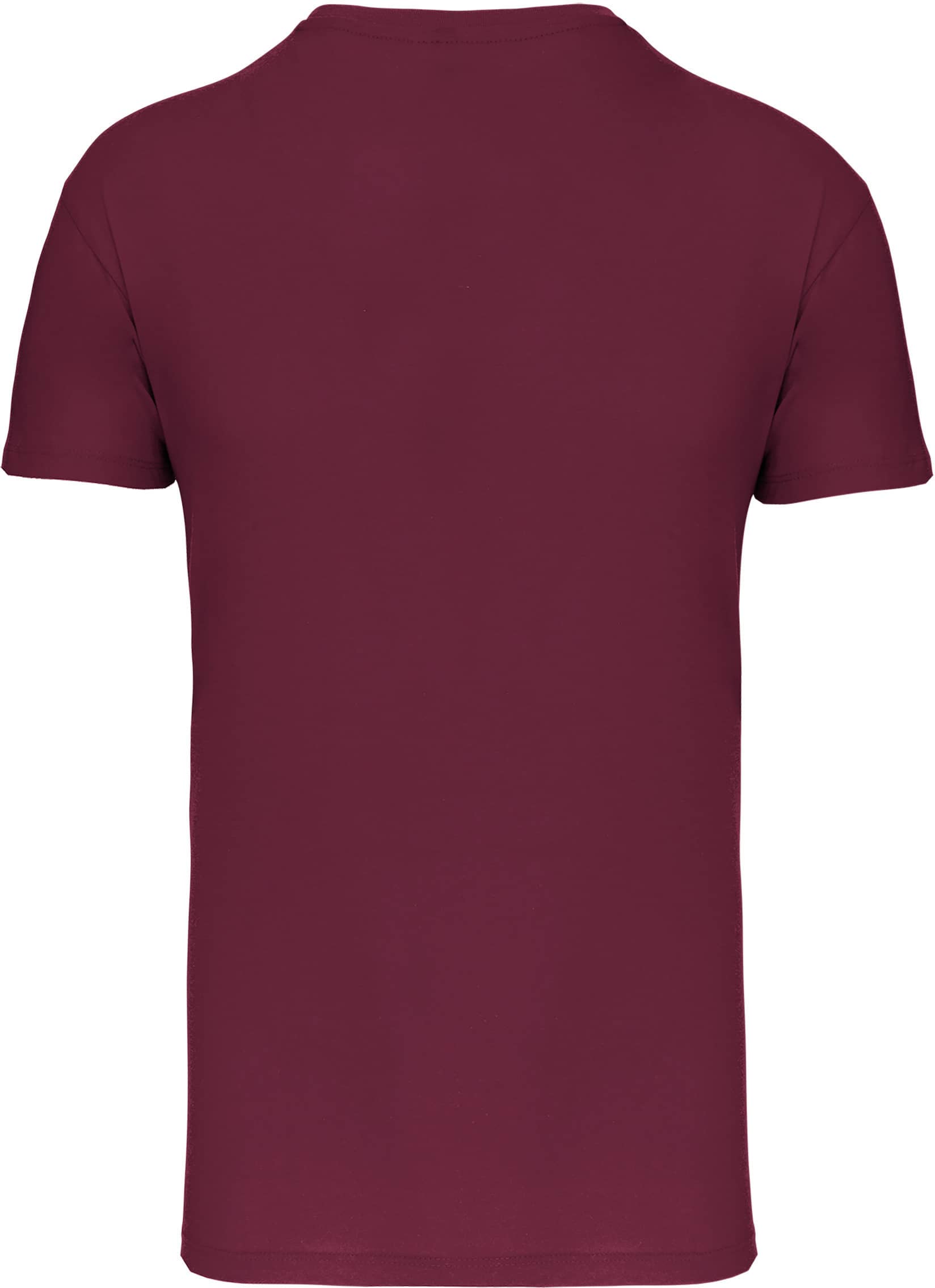 Herren-T-Shirt Bio150IC mit V-Ausschnitt