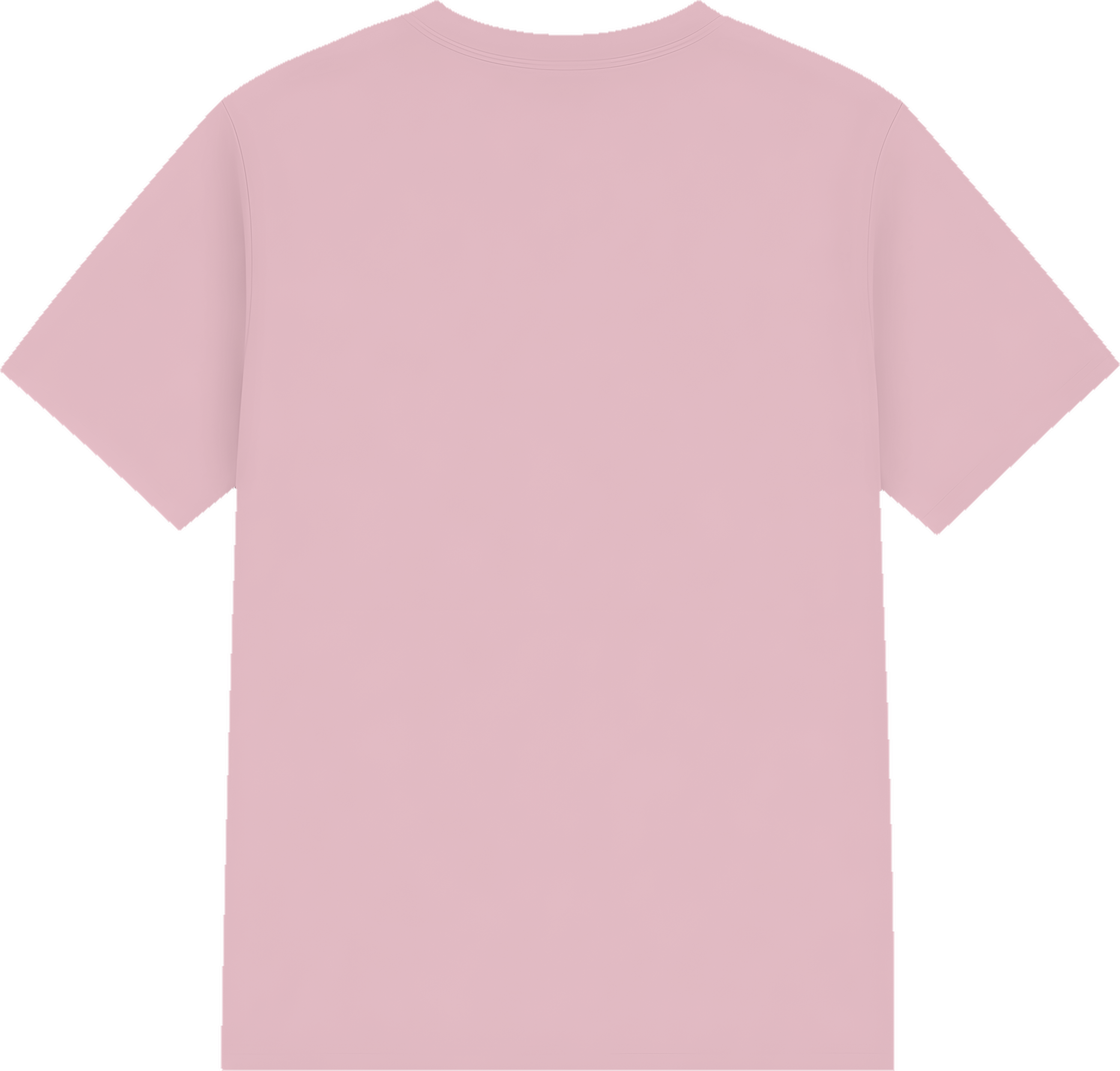 Softstyle® Youth T-Shirt