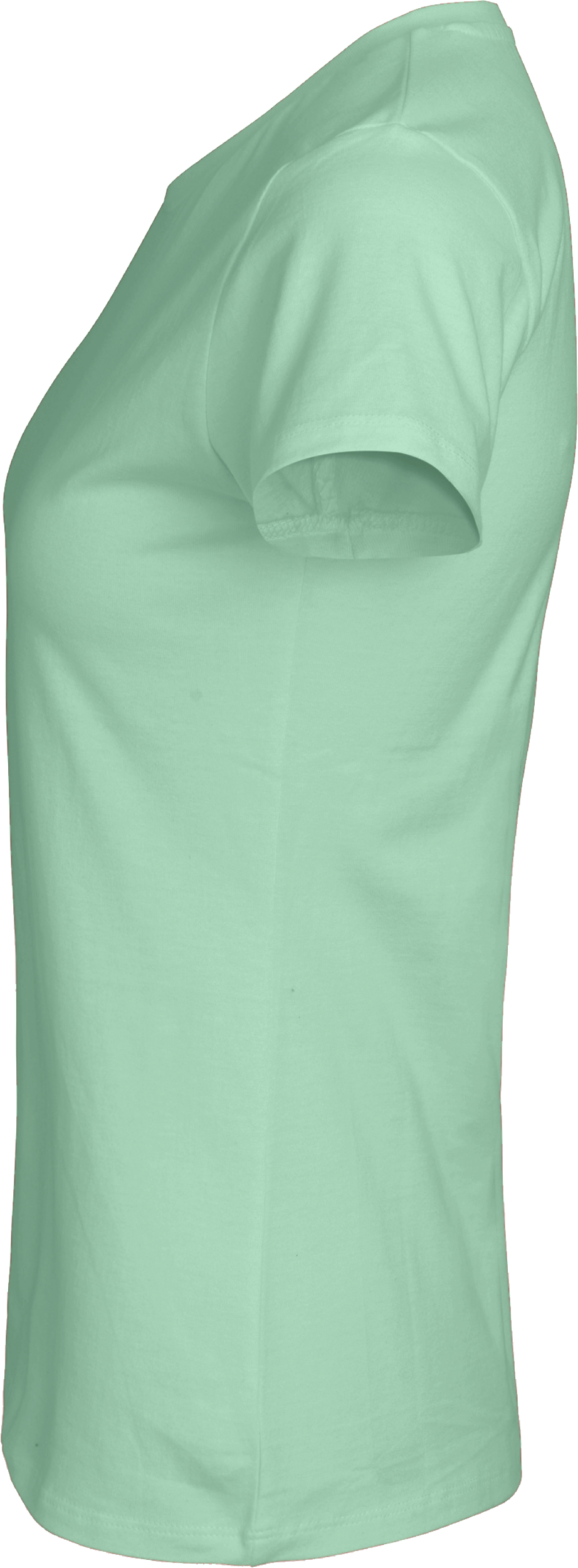 Ladies´ Classic T-Shirt