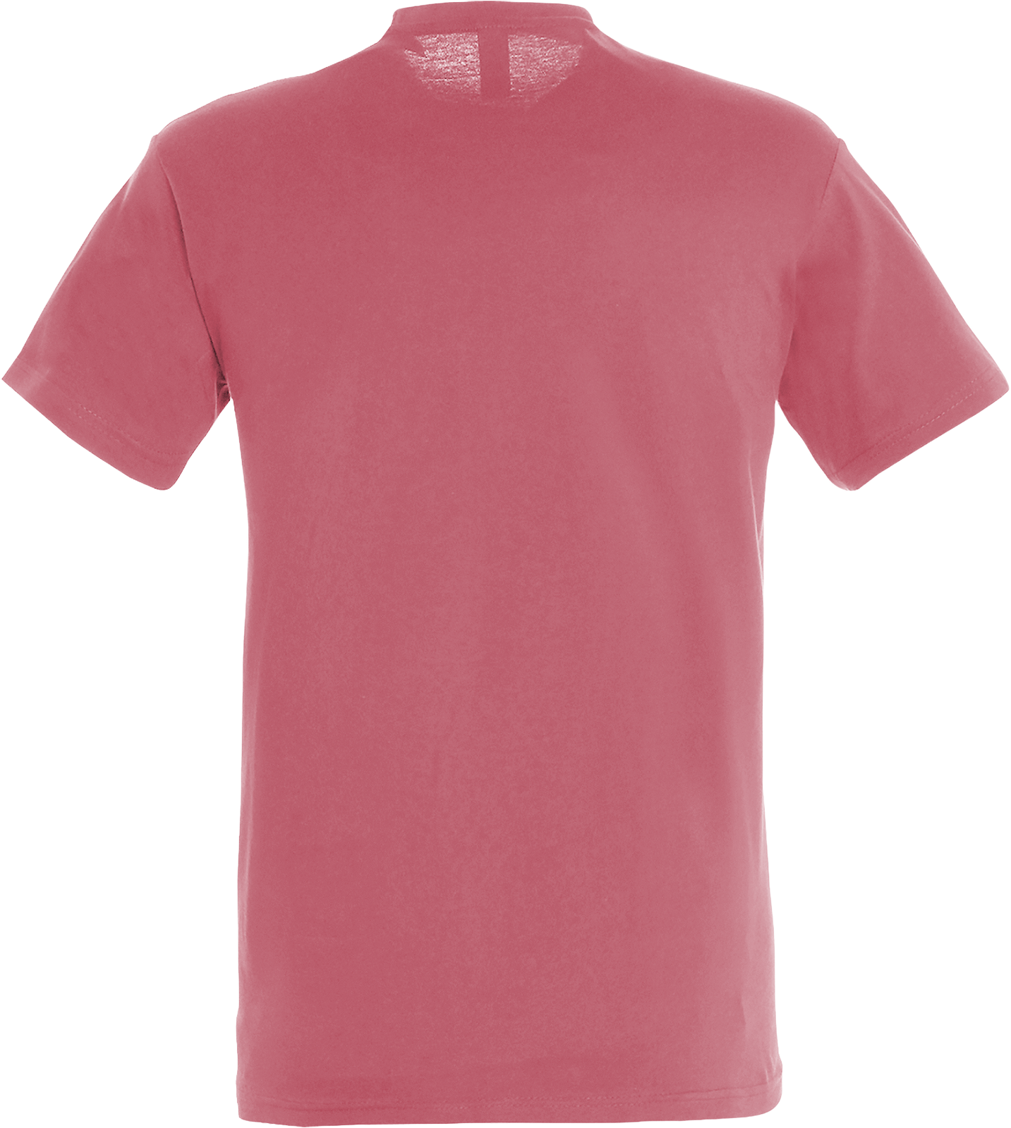 Regent T-Shirt 150