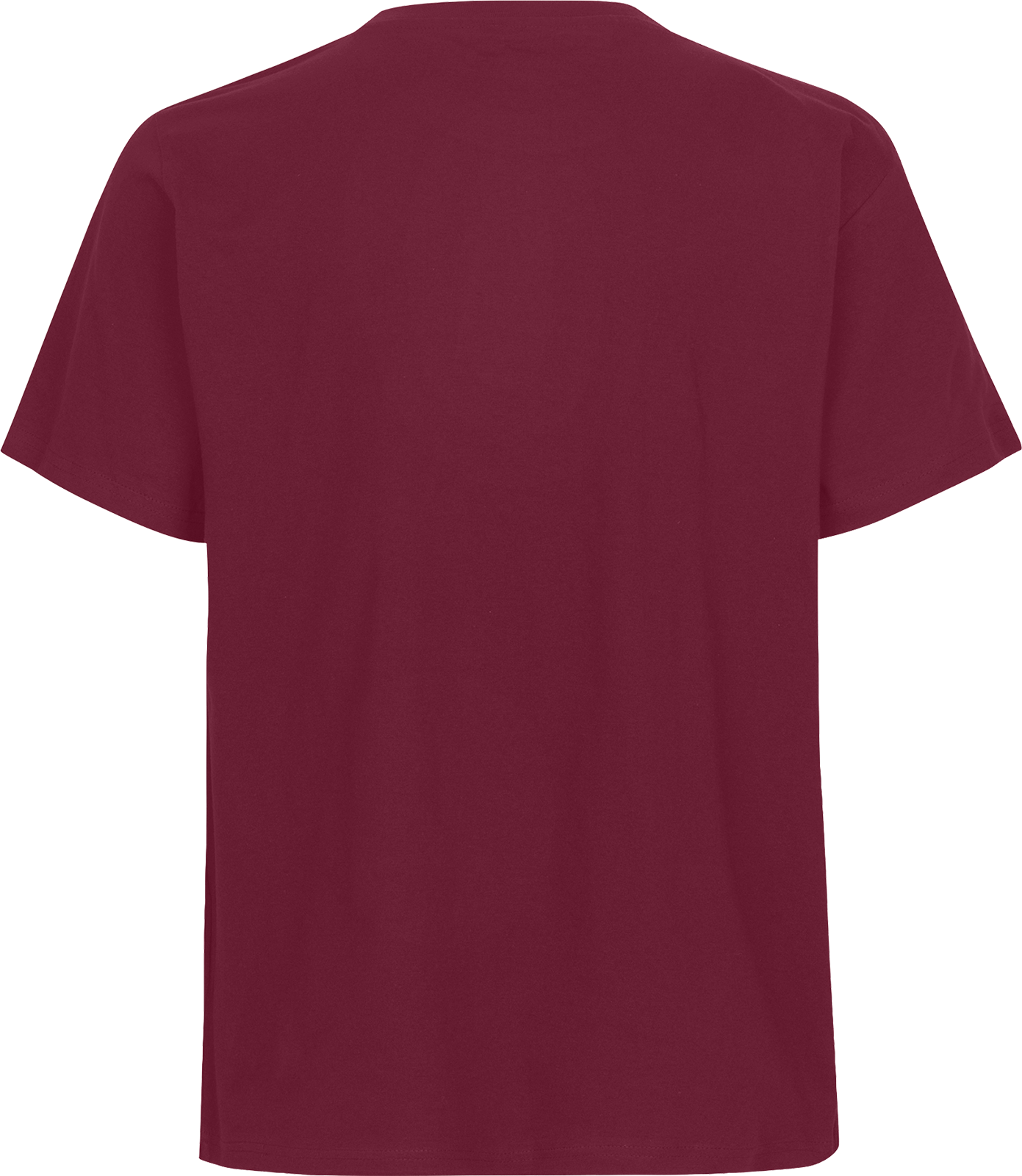 Unisex Regular T-Shirt