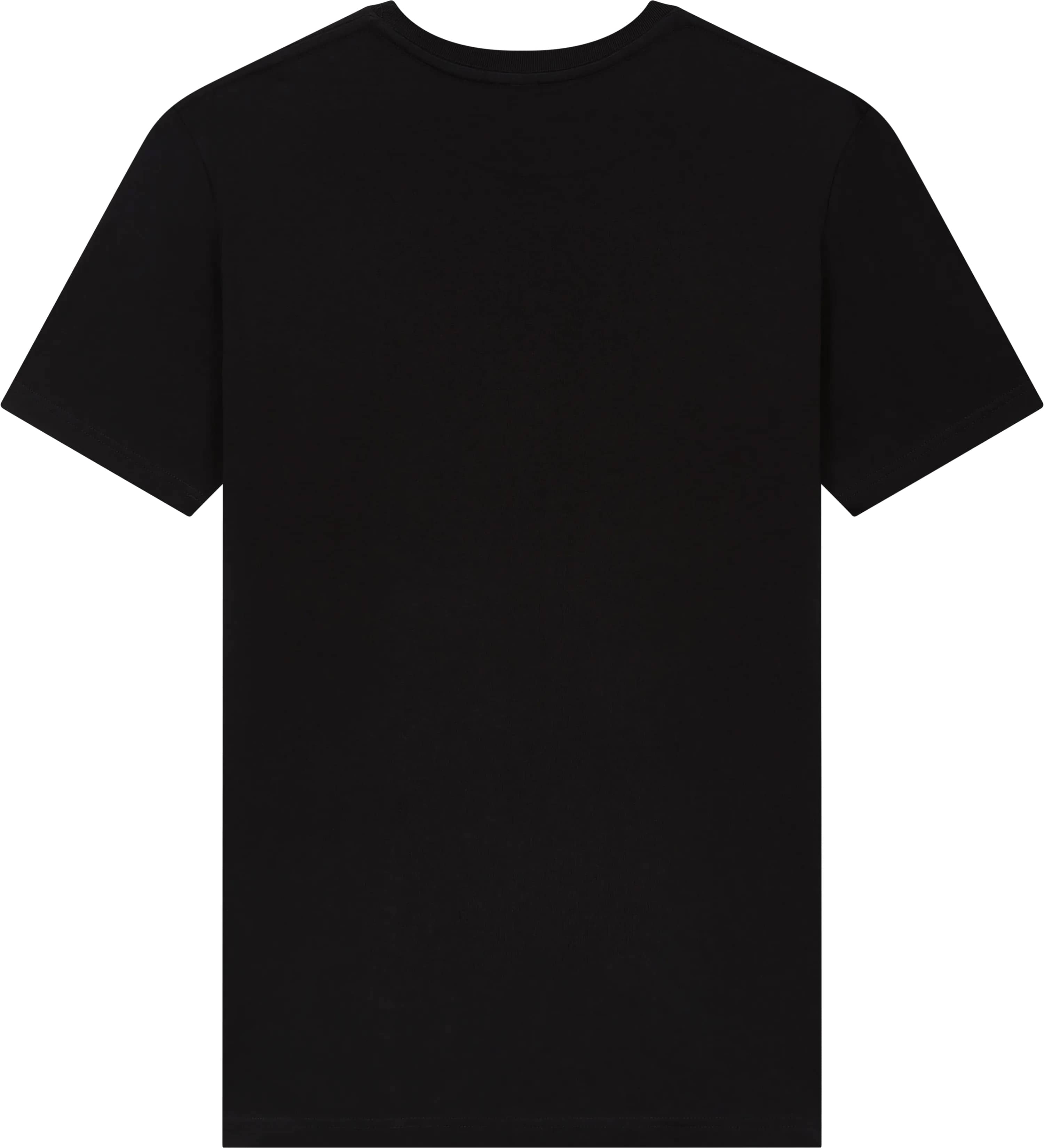 Unisex Organic Extra Heavy T-Shirt