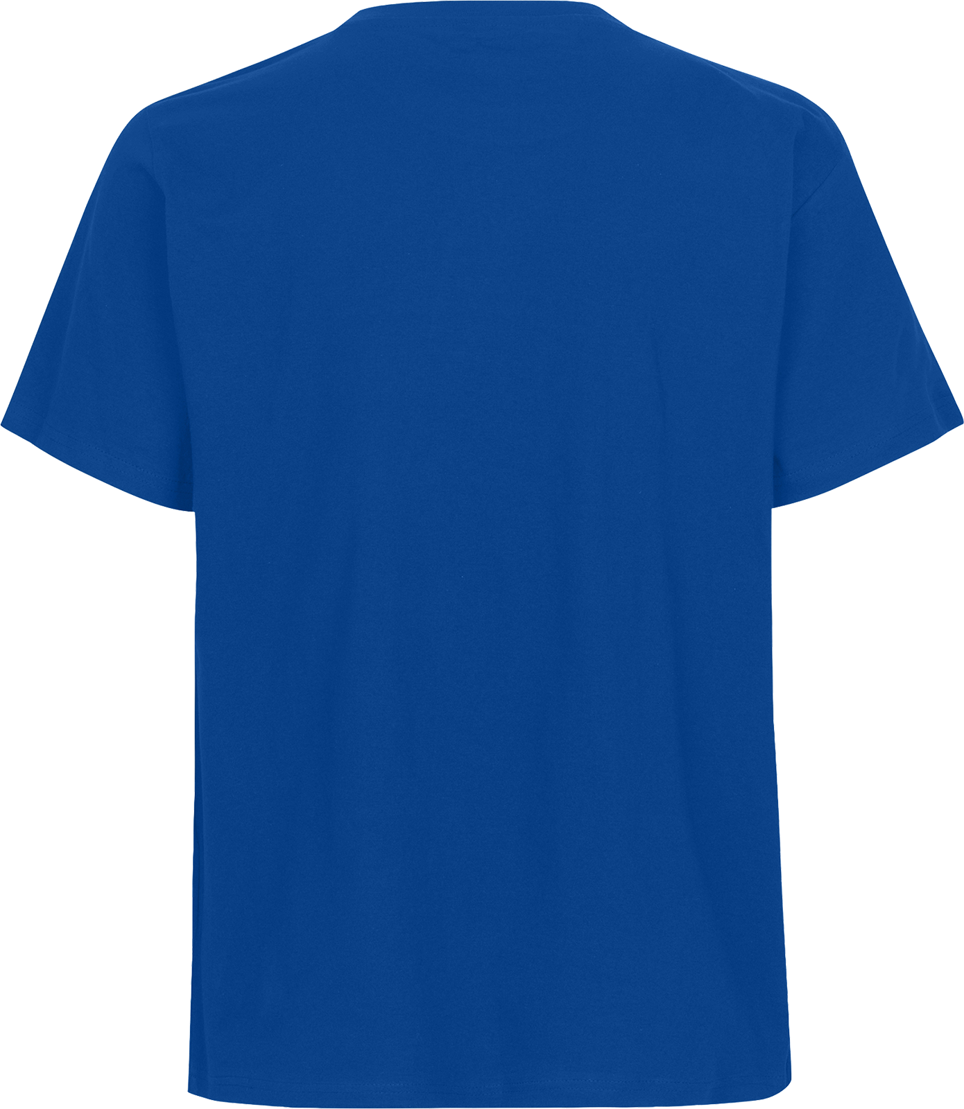 Unisex Regular T-Shirt