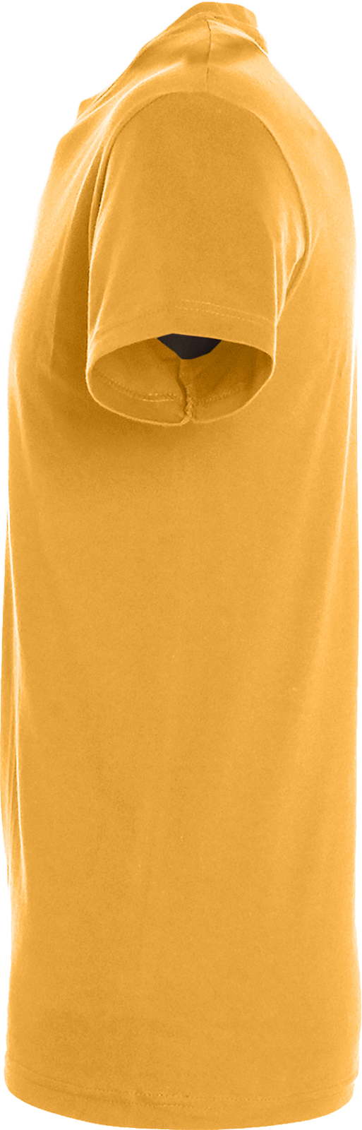 Regent T-Shirt 150