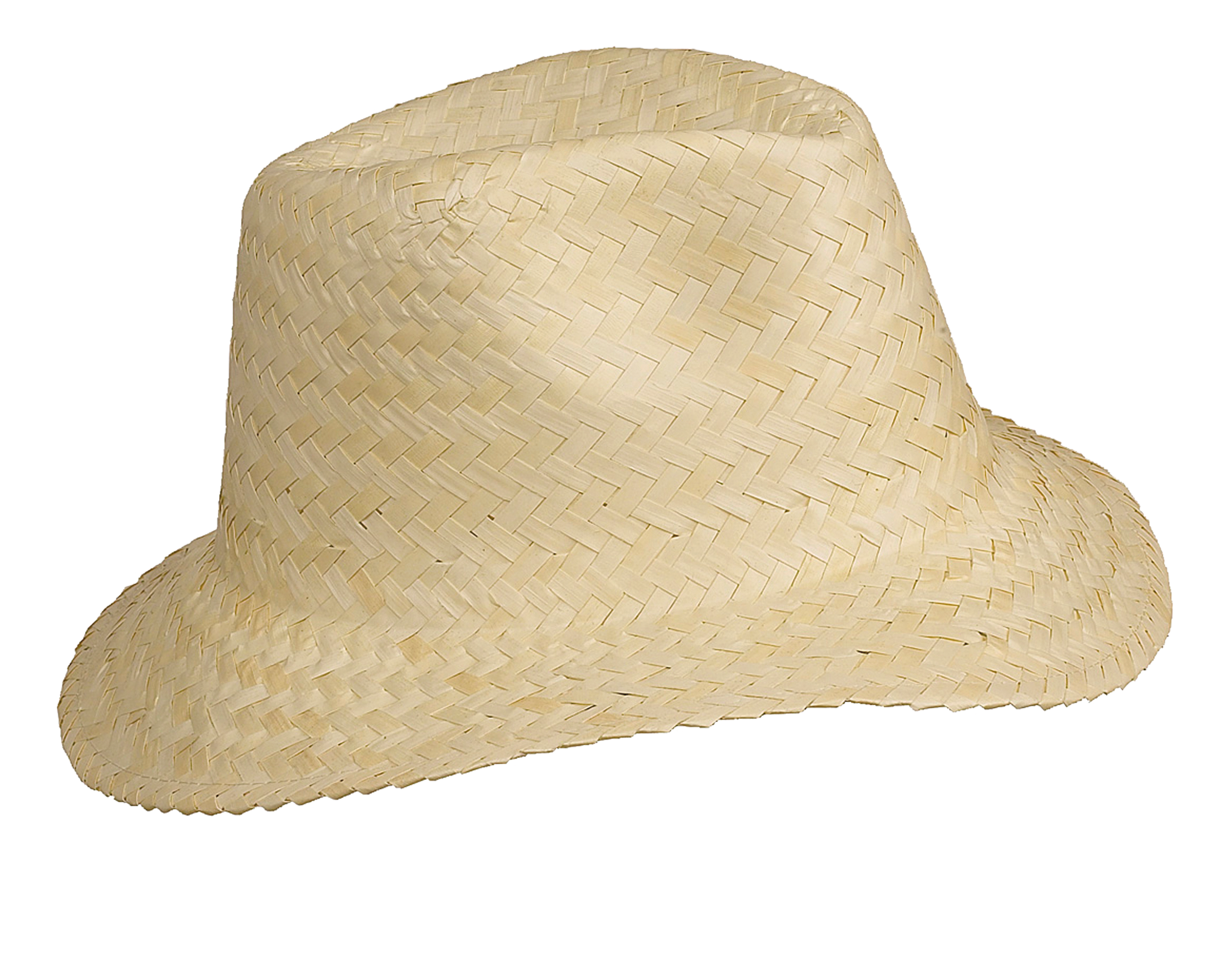 Strohhut Panamahut