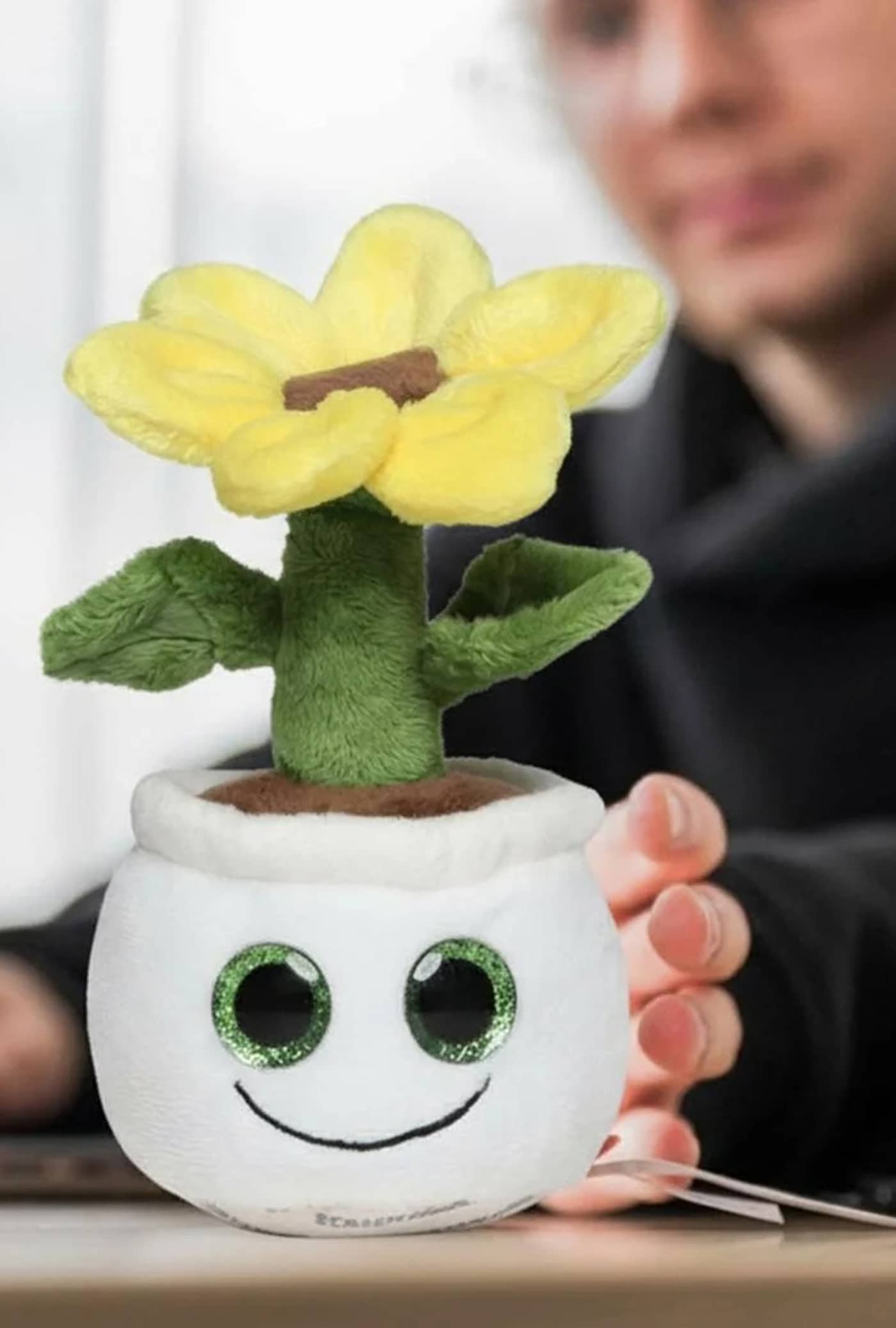 Schmoozies® Evergreenies® Sonnenblume