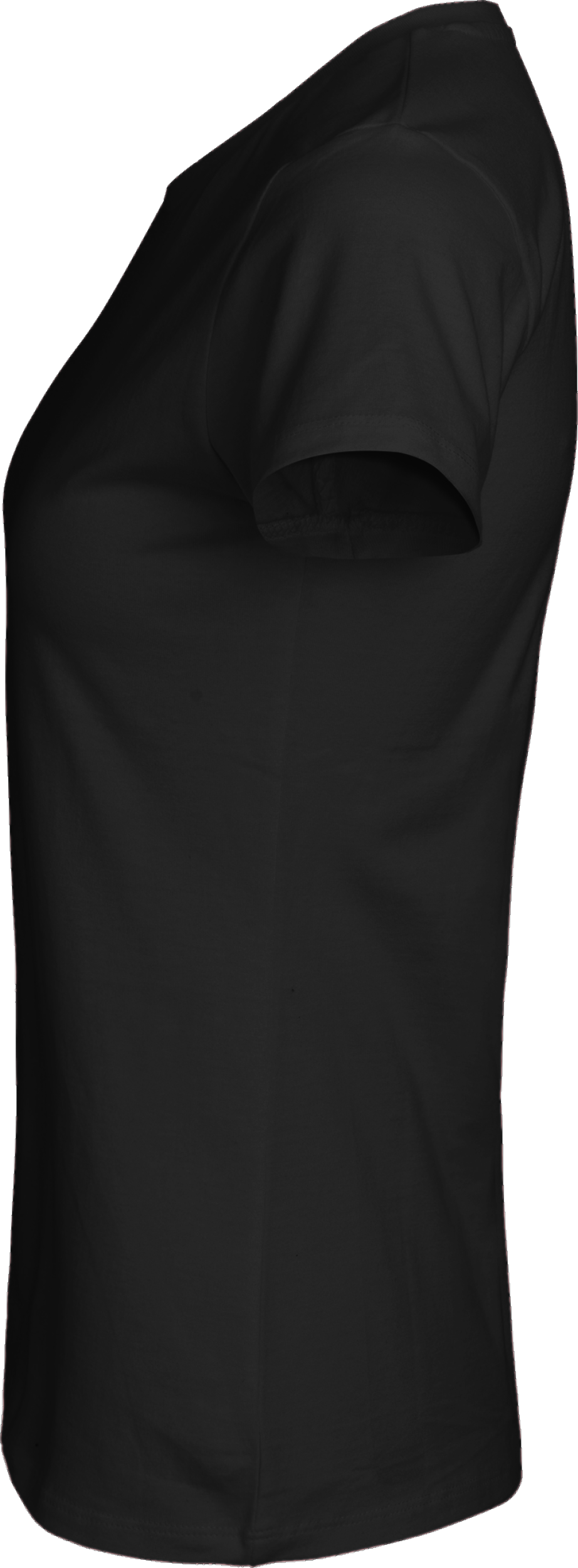Ladies´ Classic T-Shirt