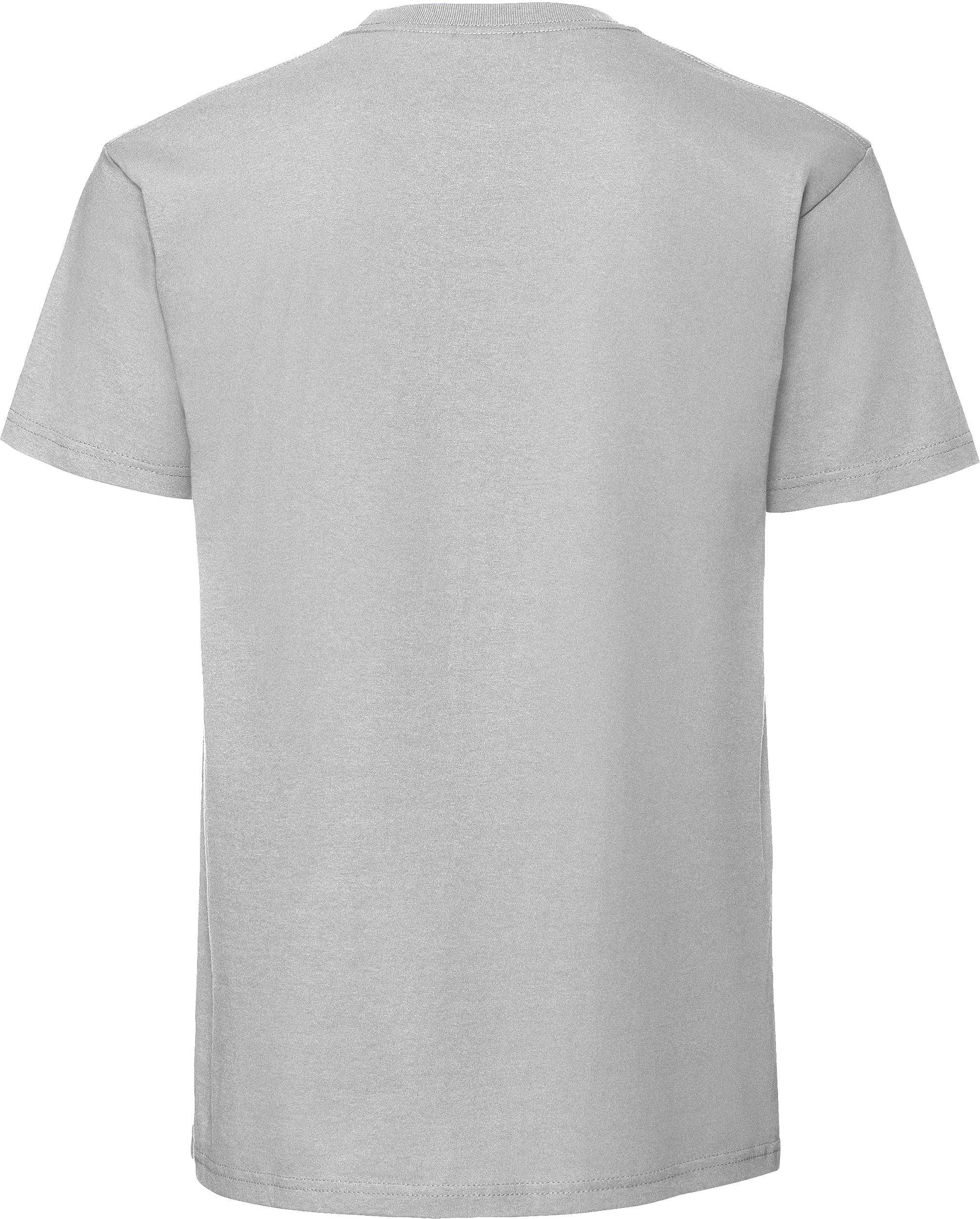 Iconic 195 Ringspun T