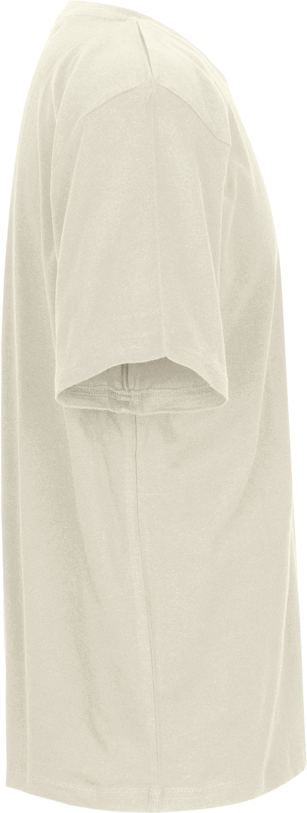 Unisex Regular T-Shirt