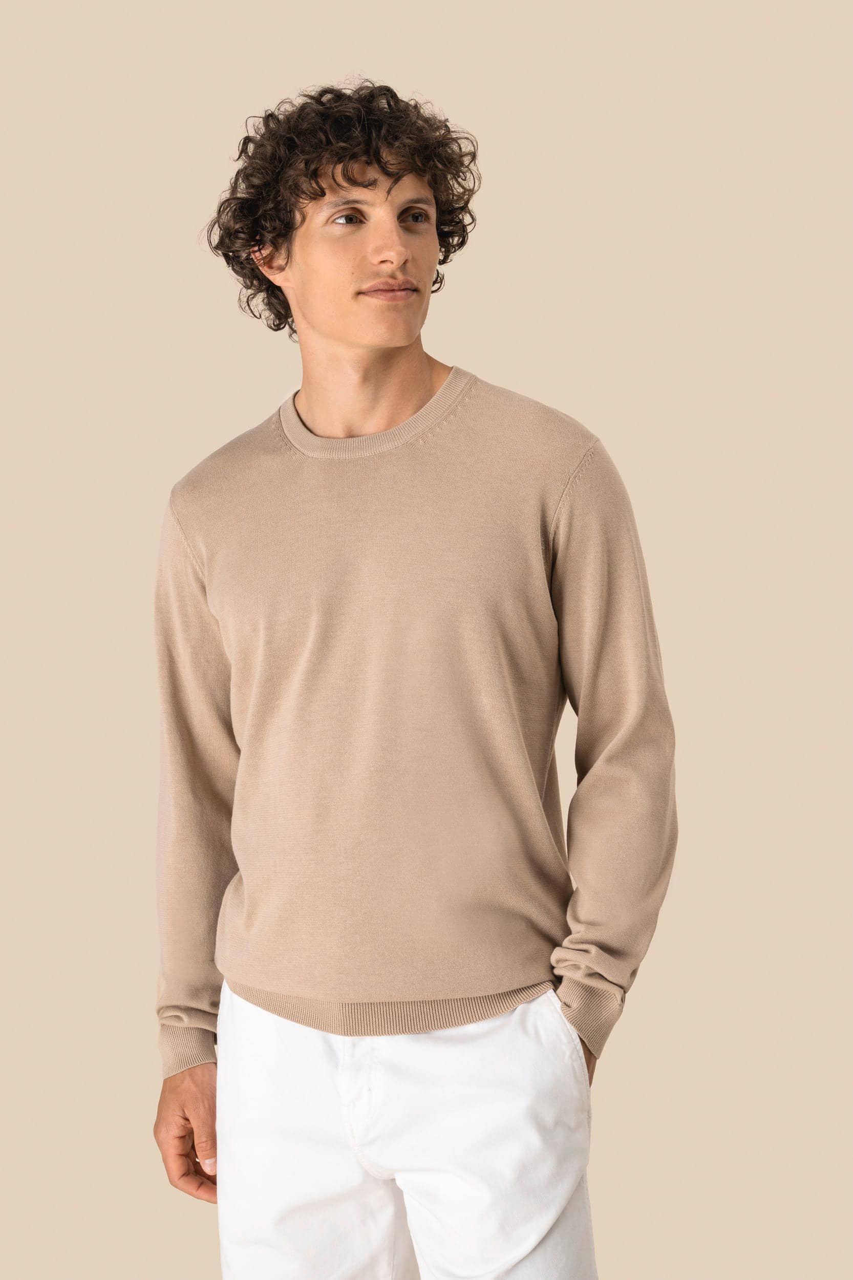 Umweltfreundlicher Herrenpullover mit Rundhalsausschnitt