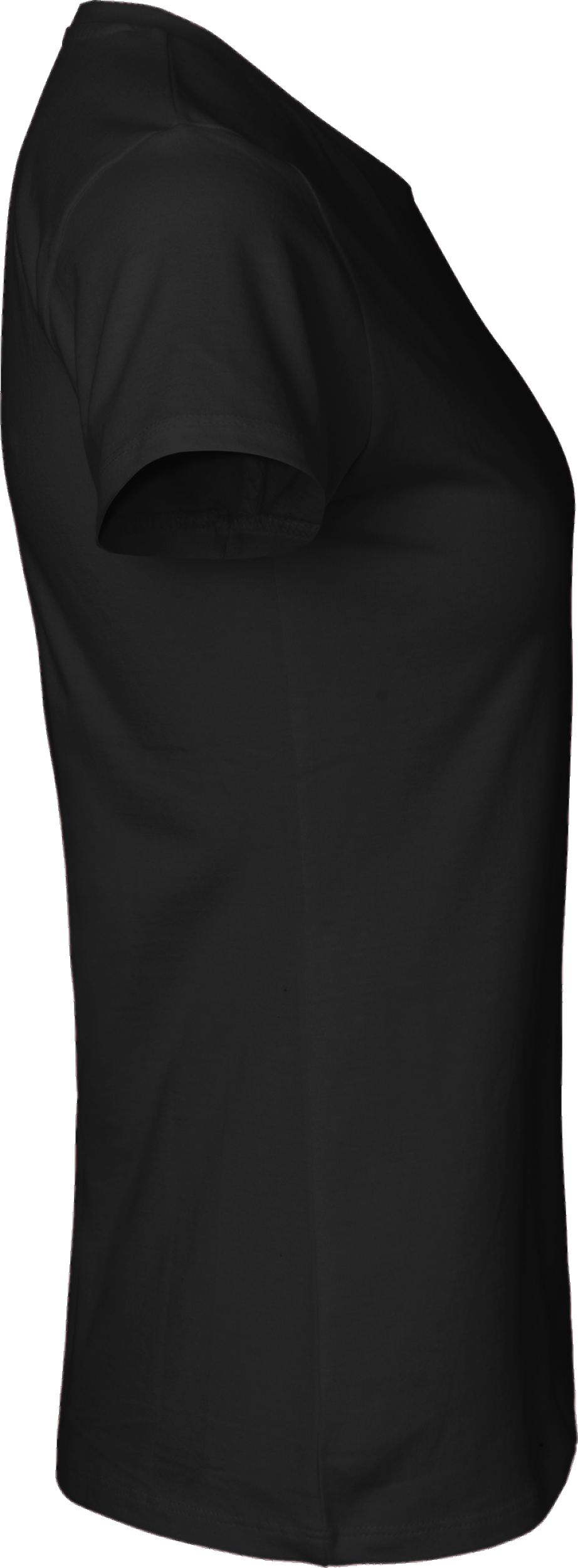 Ladies´ Classic T-Shirt